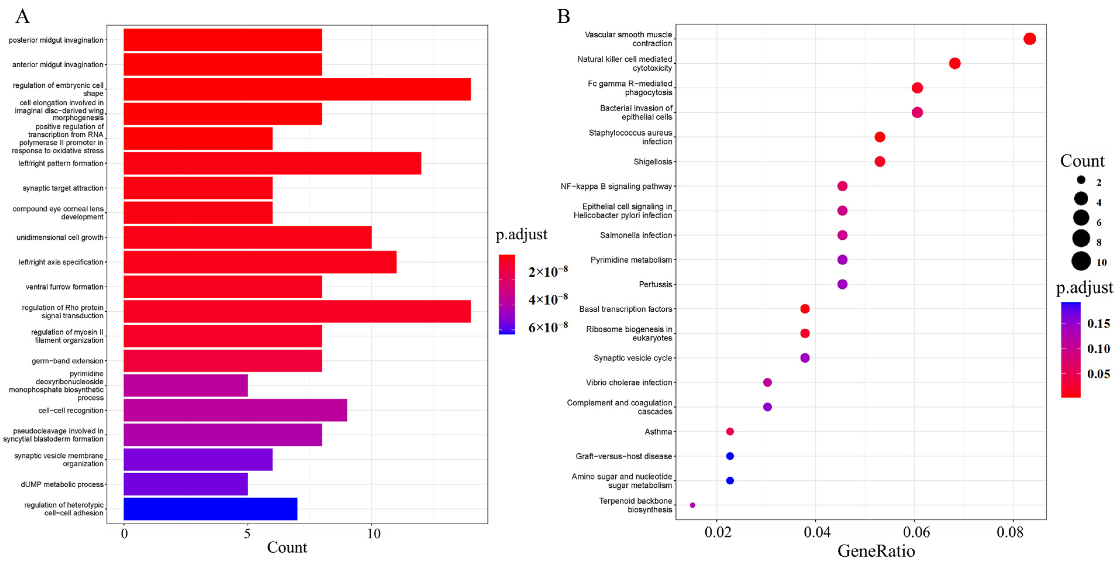Animals 15 00745 g005 Animals 15 00745 g005