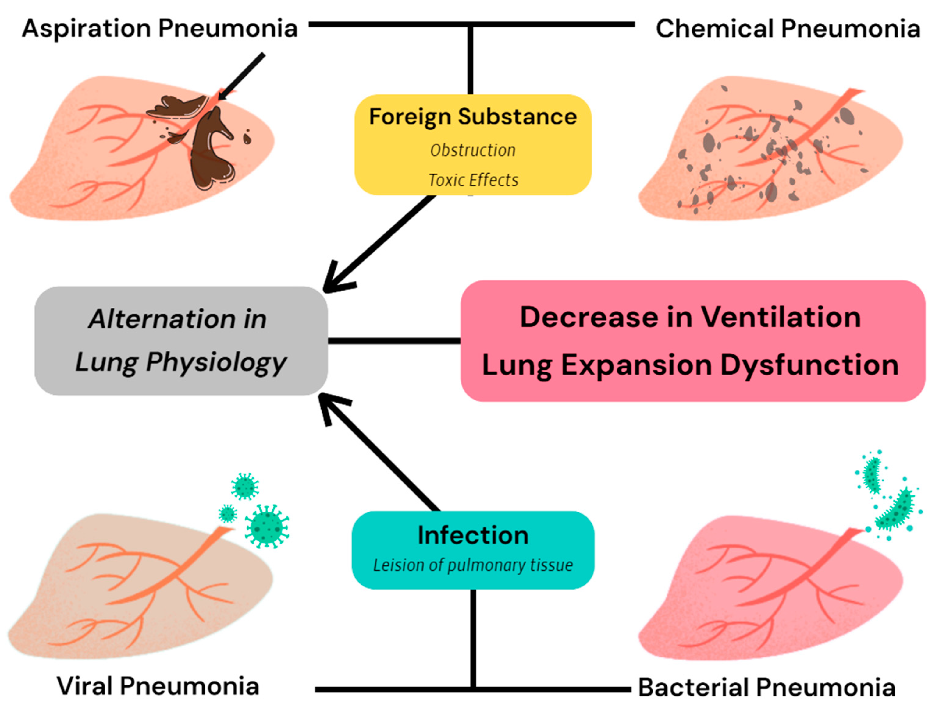 Animals 15 00746 g001
