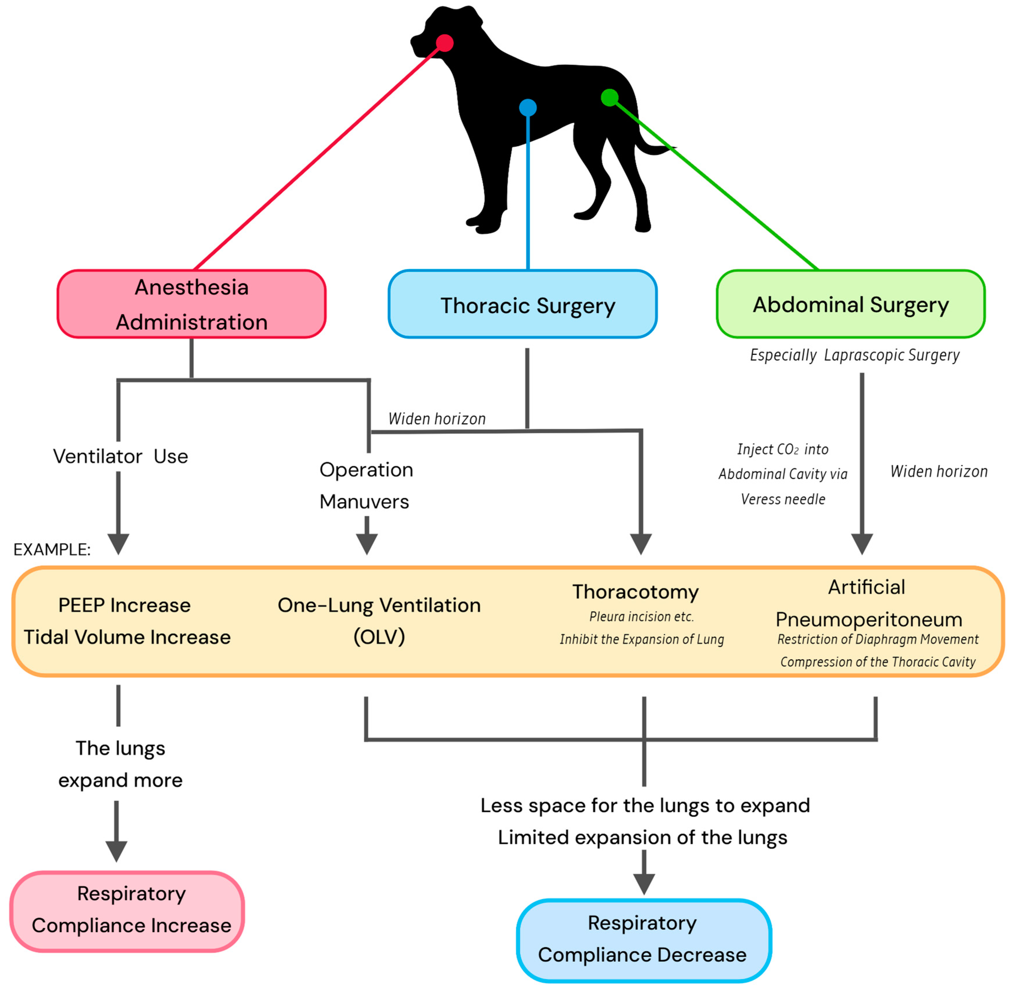 Animals 15 00746 g003