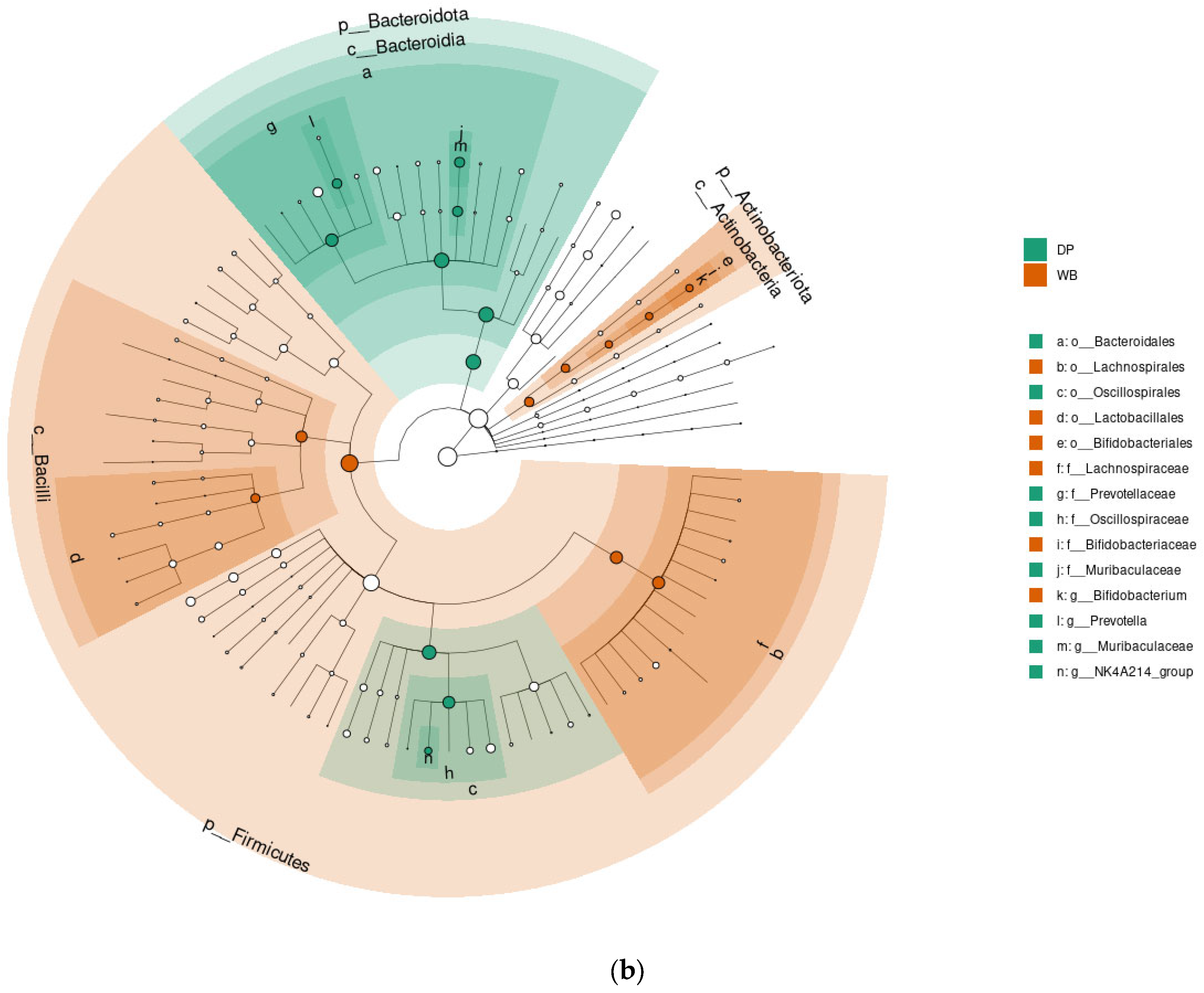 Animals 15 00747 g006b Animals 15 00747 g006b