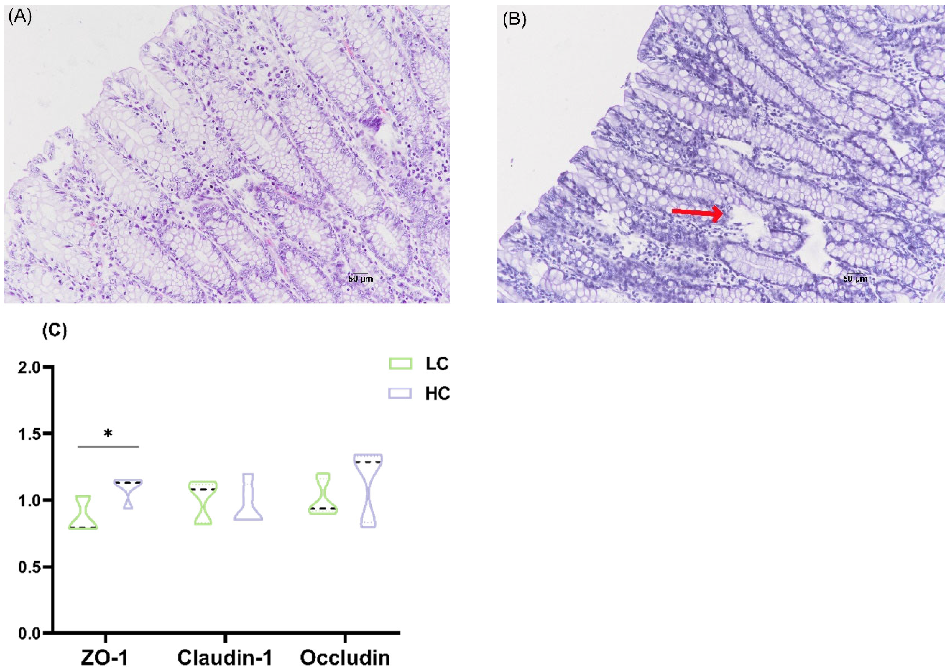 Animals 15 00749 g002