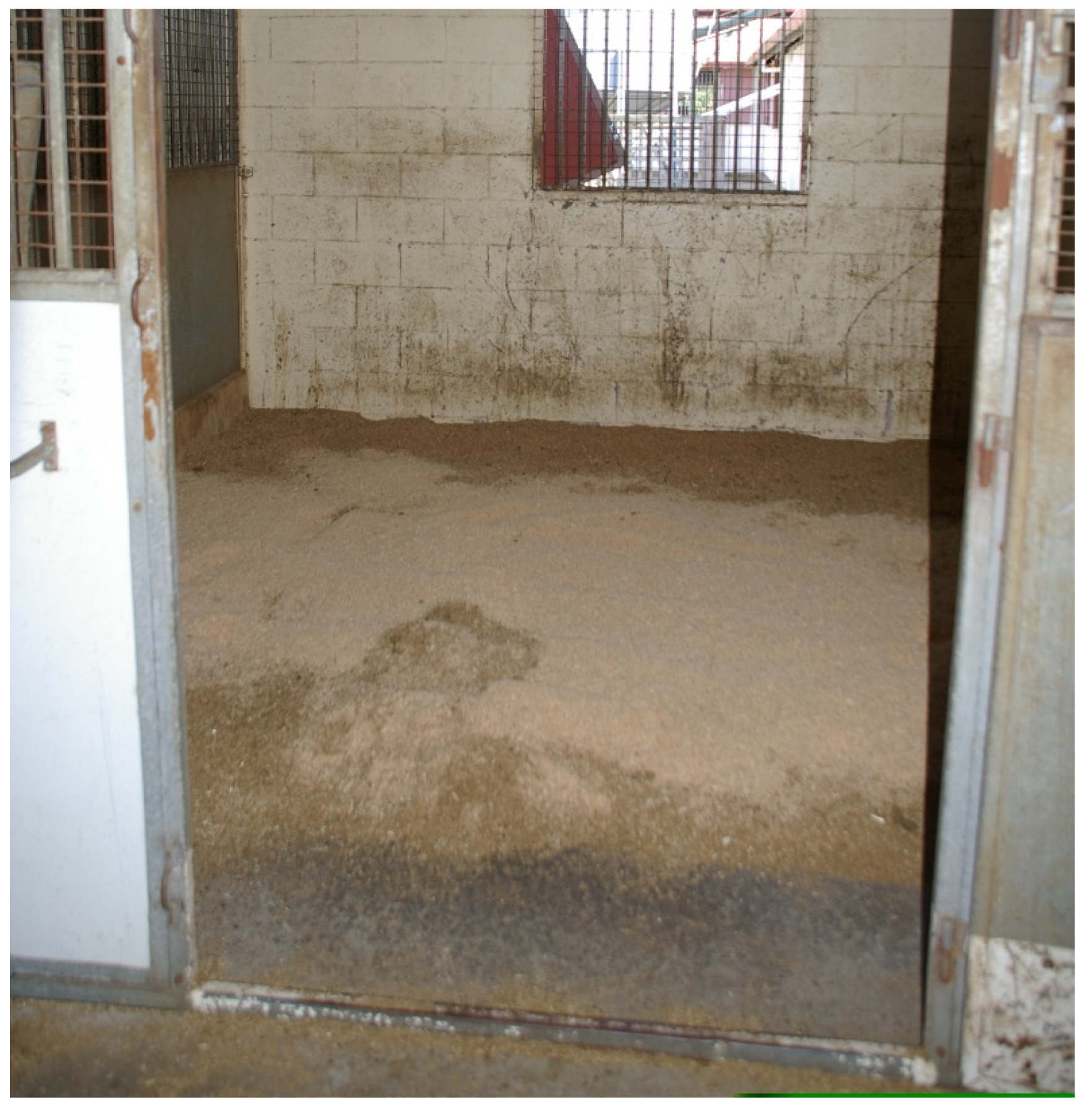 Animals 15 00751 g005 Animals 15 00751 g005