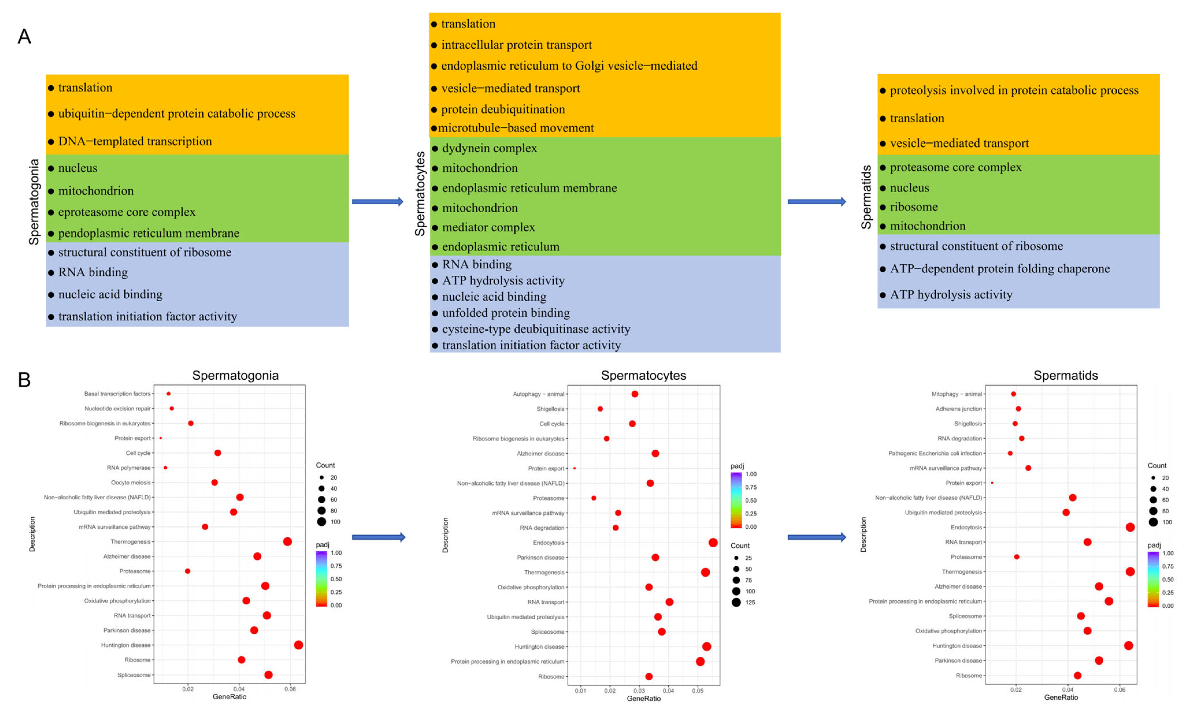 Animals 15 00752 g005