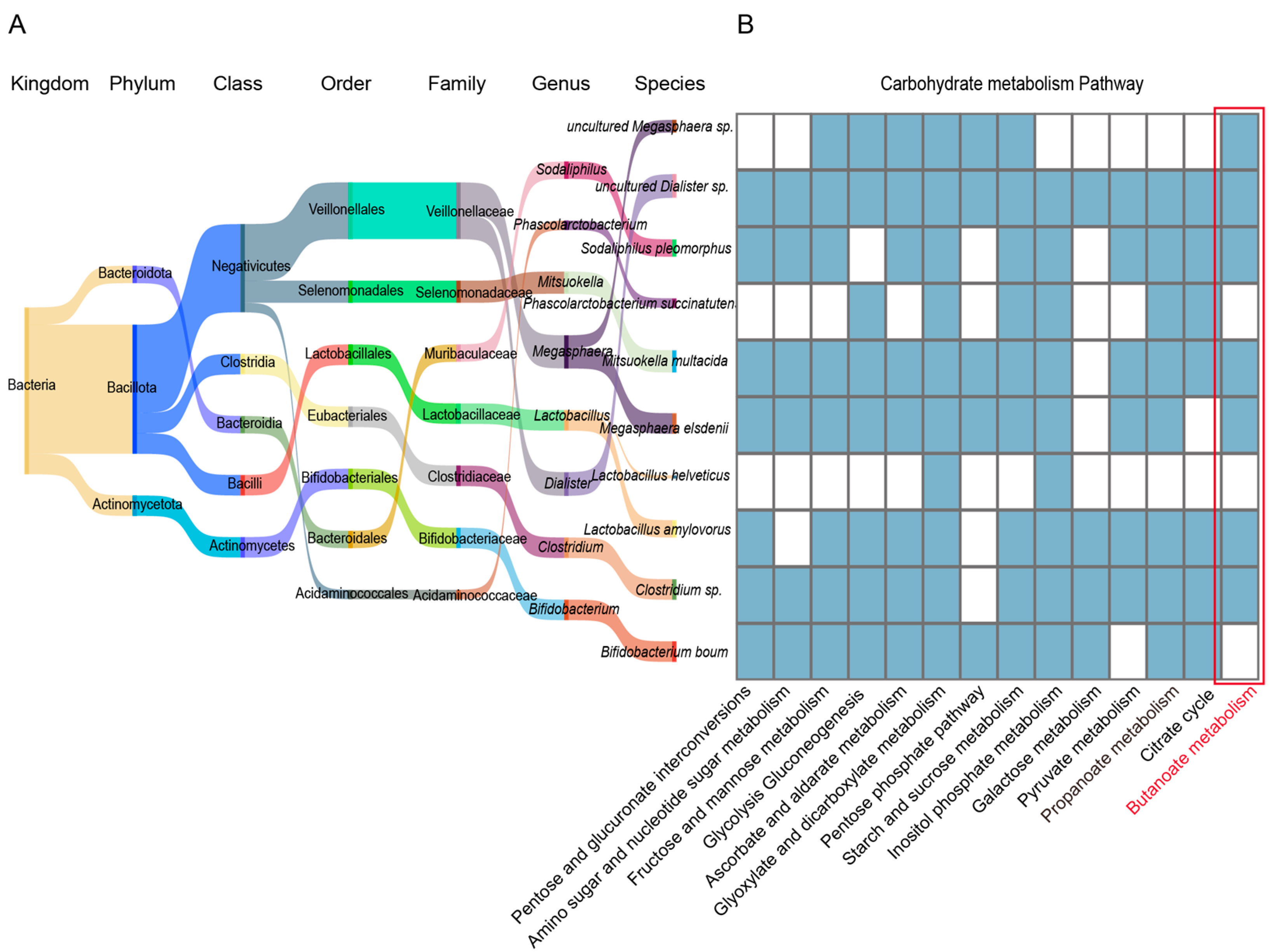 Animals 15 00753 g007