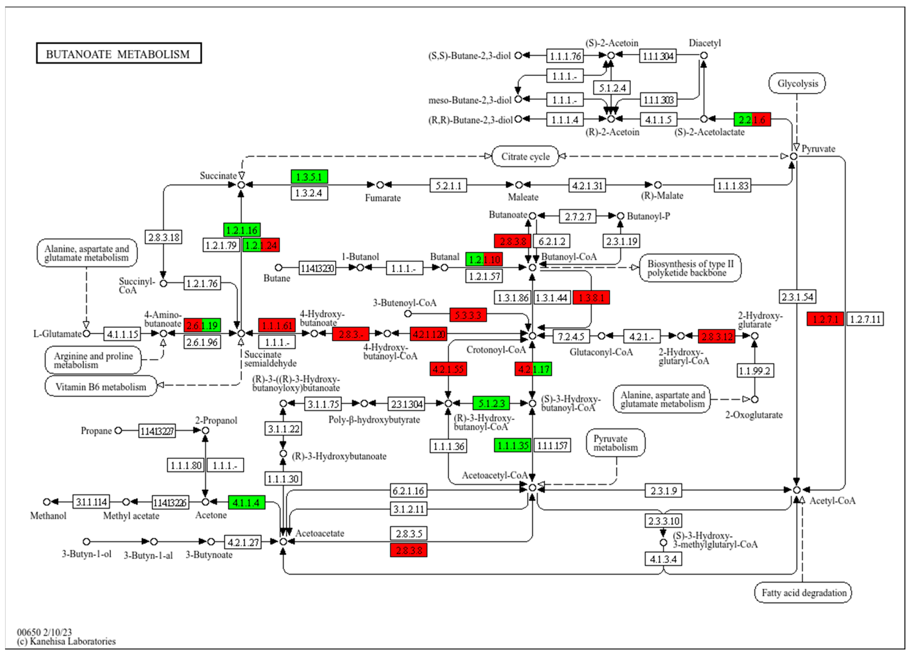 Animals 15 00753 g008