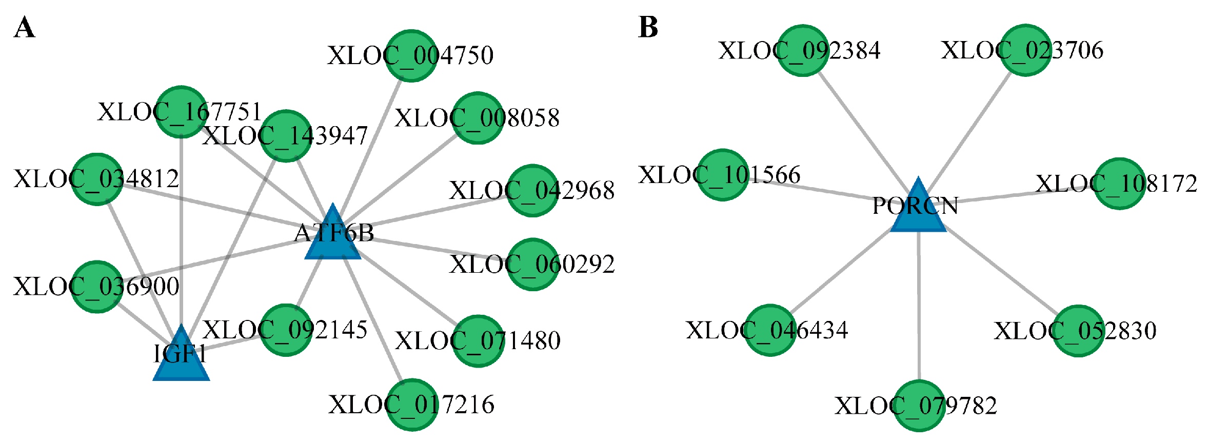 Animals 15 00754 g006 Animals 15 00754 g006