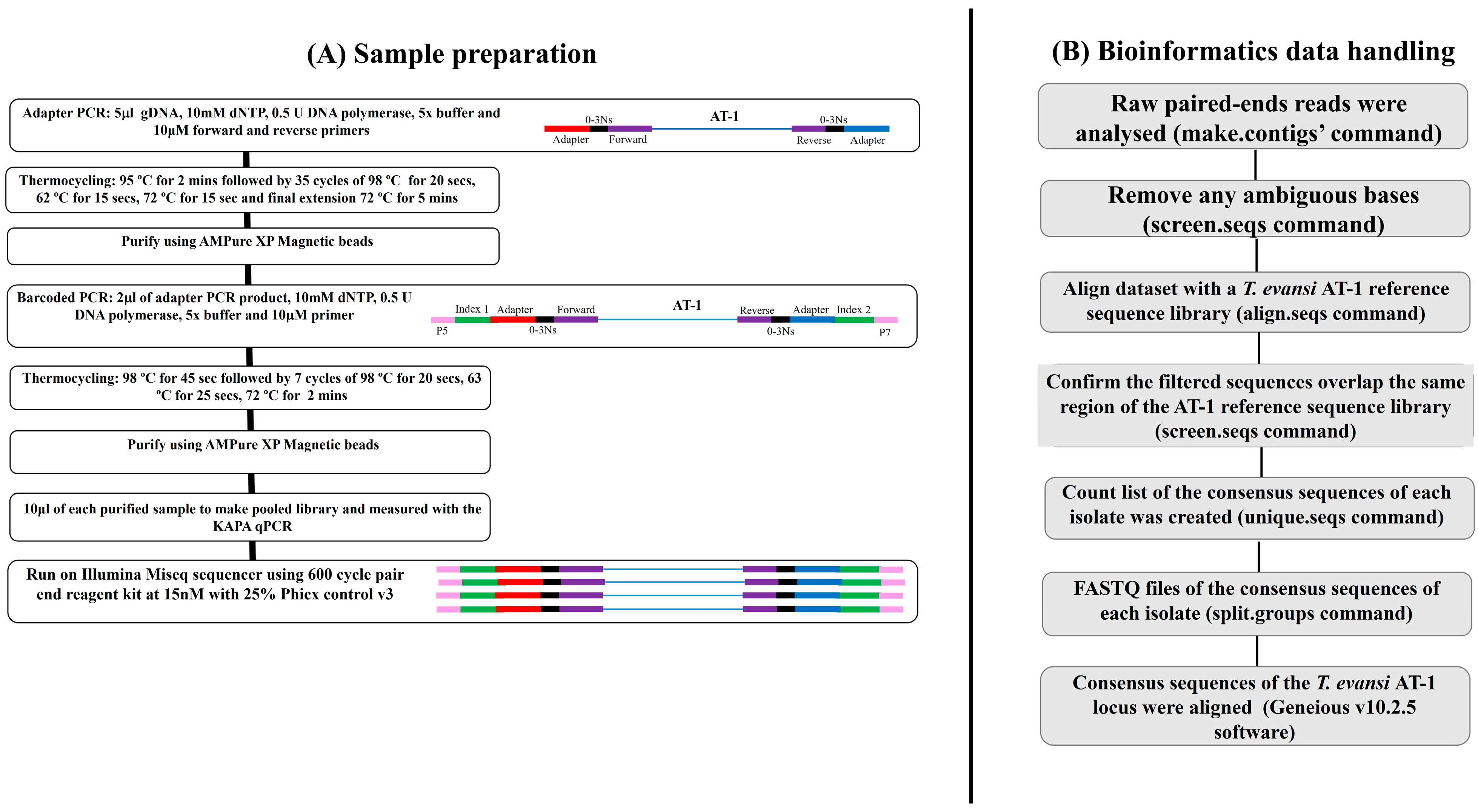 Animals 15 00756 g001