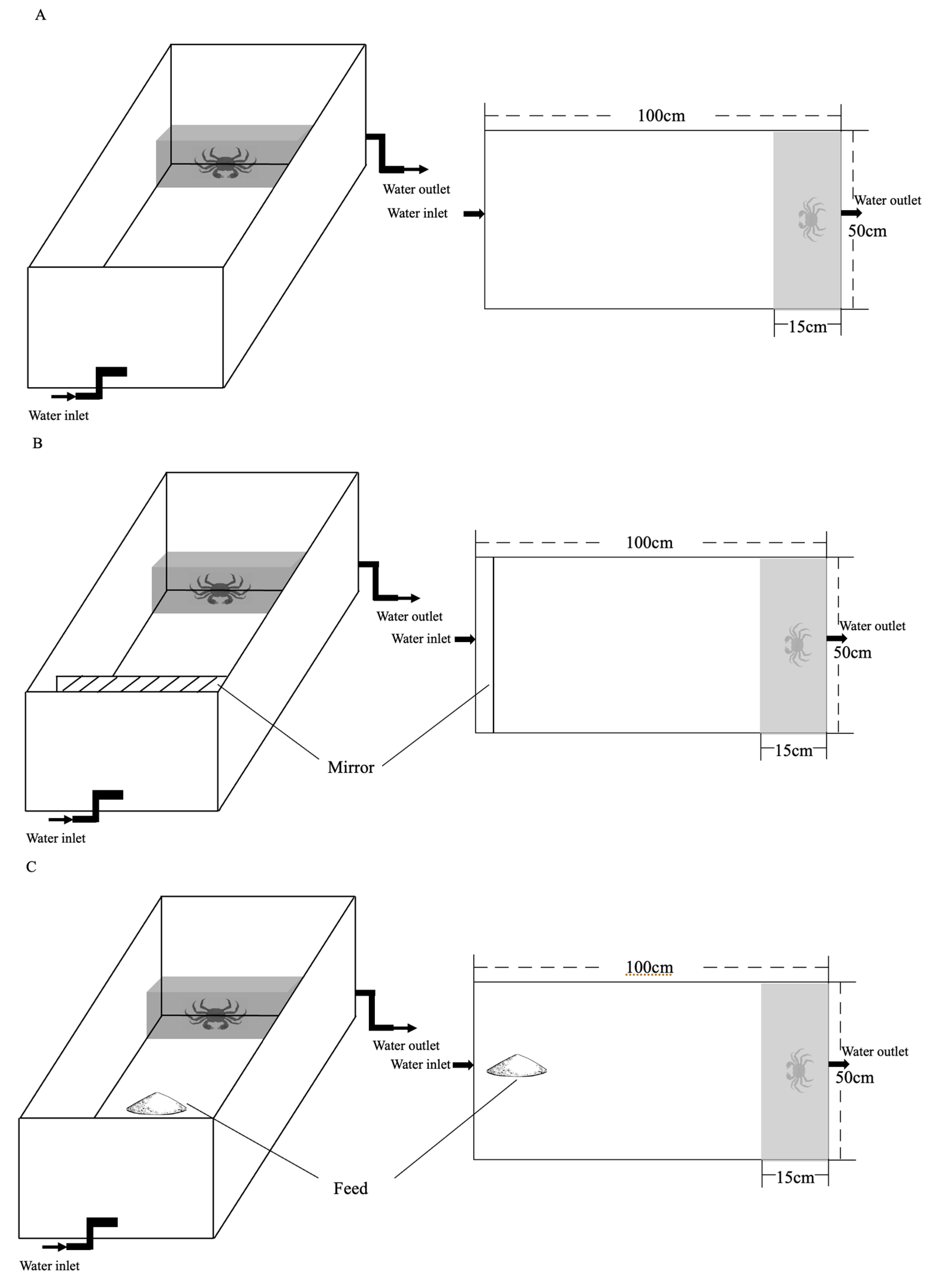 Animals 15 00757 g001