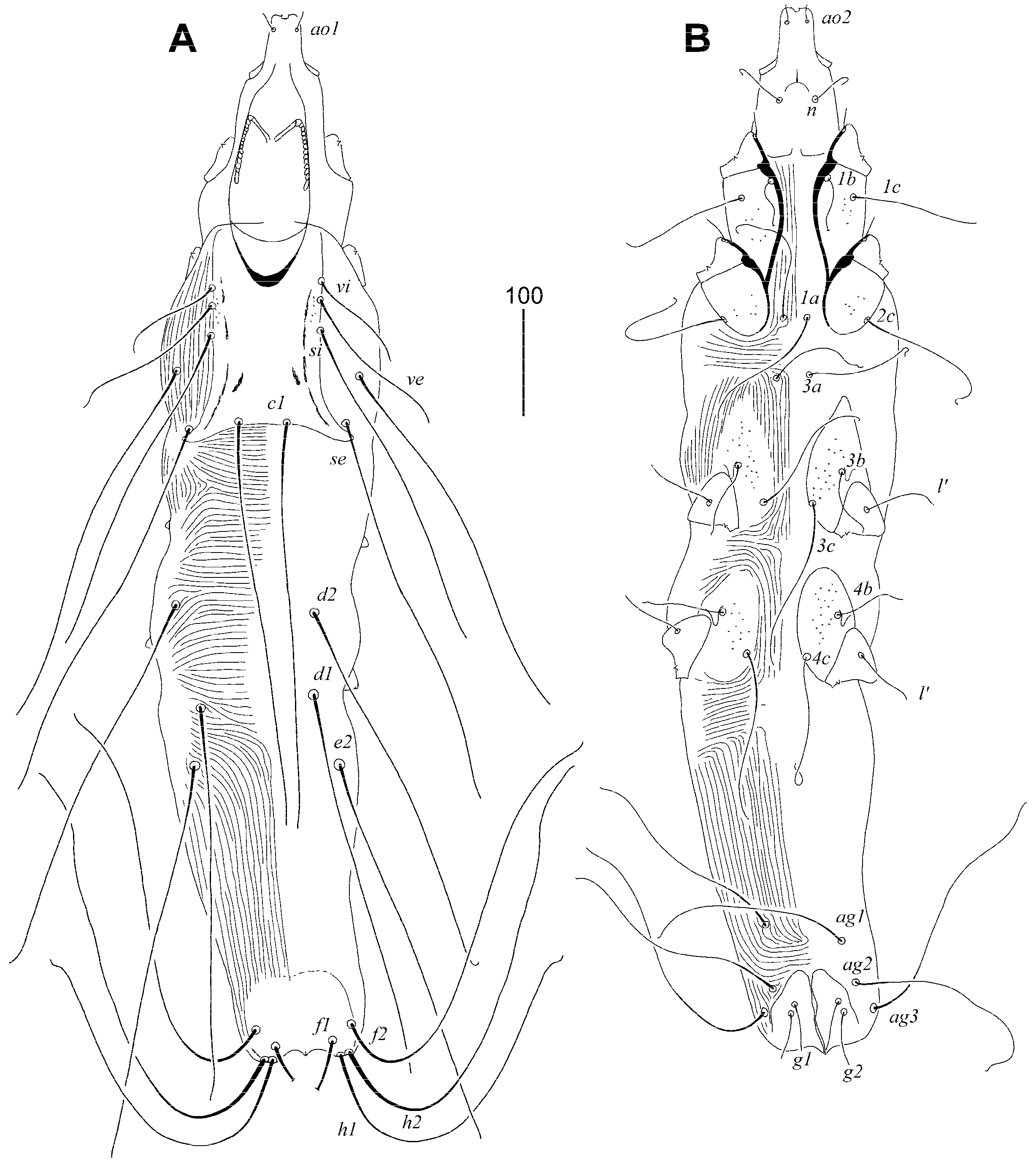 Animals 15 00764 g003