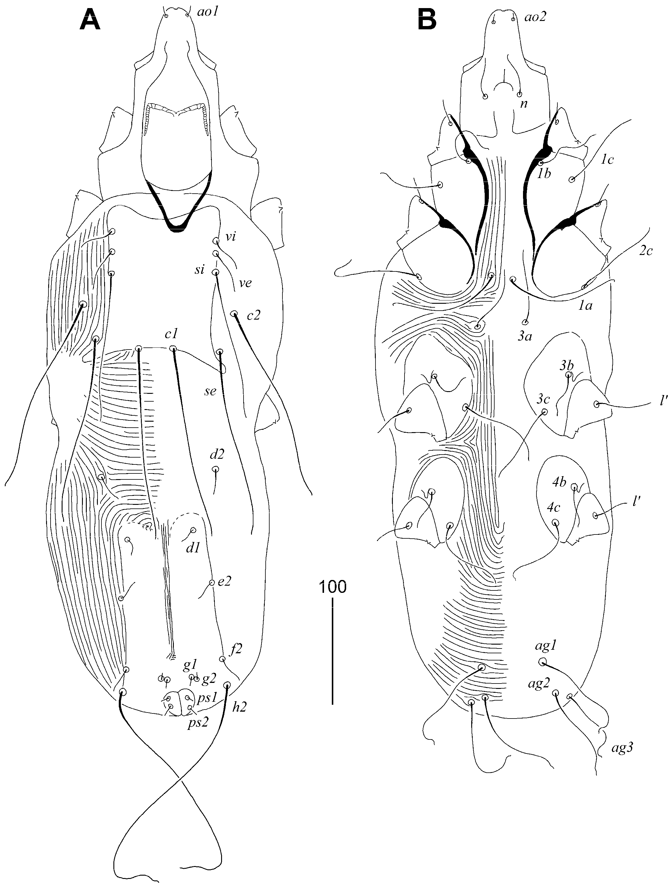 Animals 15 00764 g004