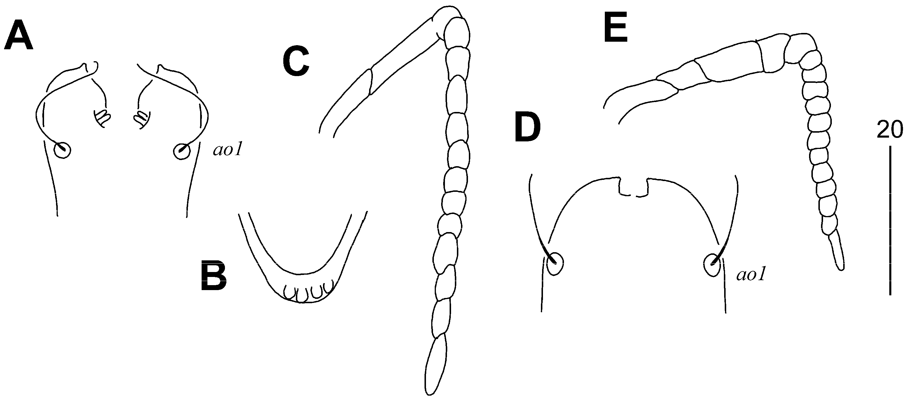 Animals 15 00764 g005