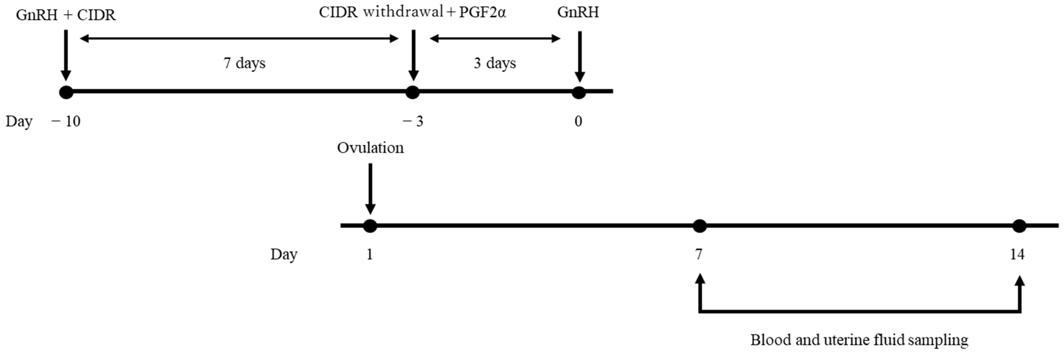 Animals 15 00767 g001