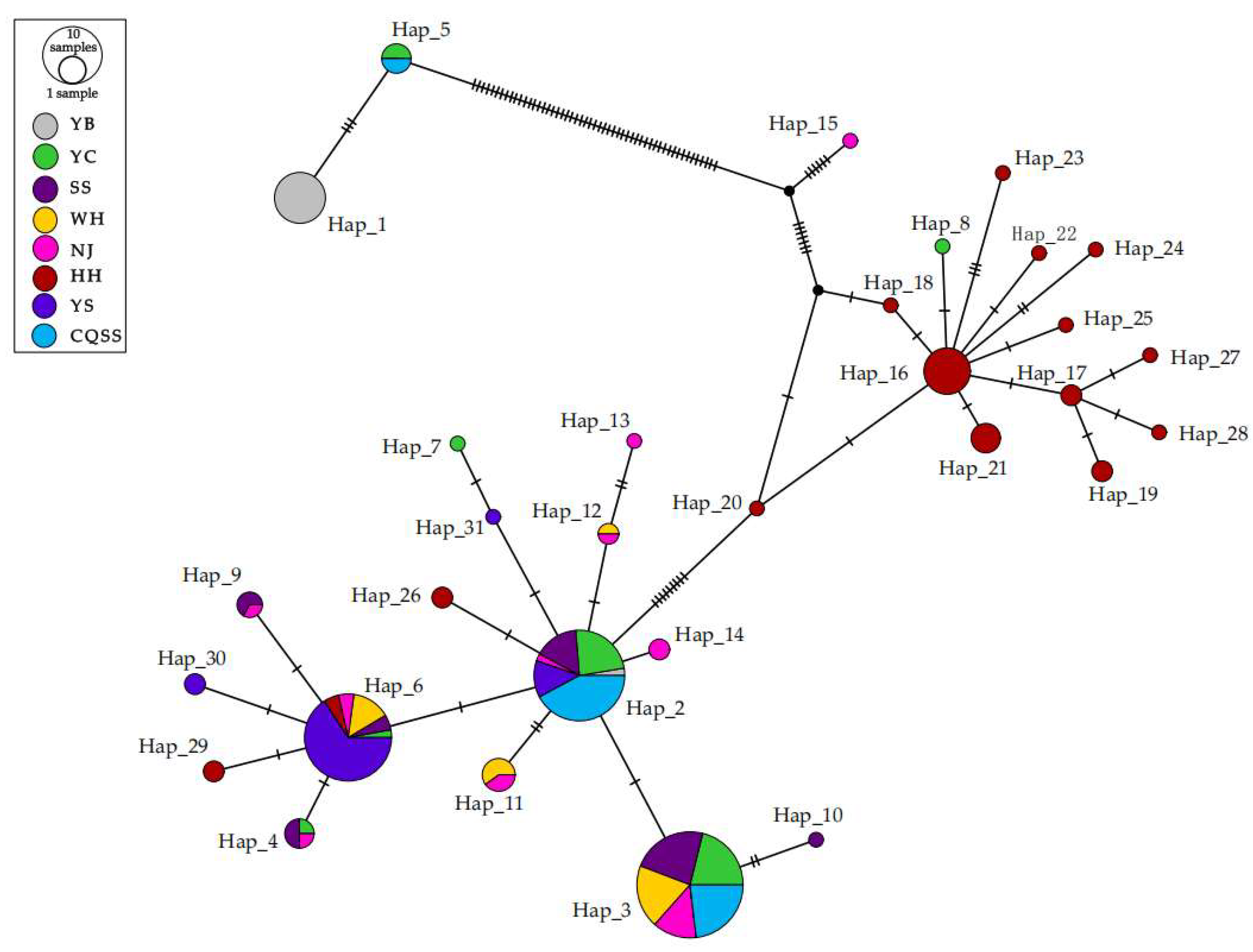 Animals 15 00770 g002