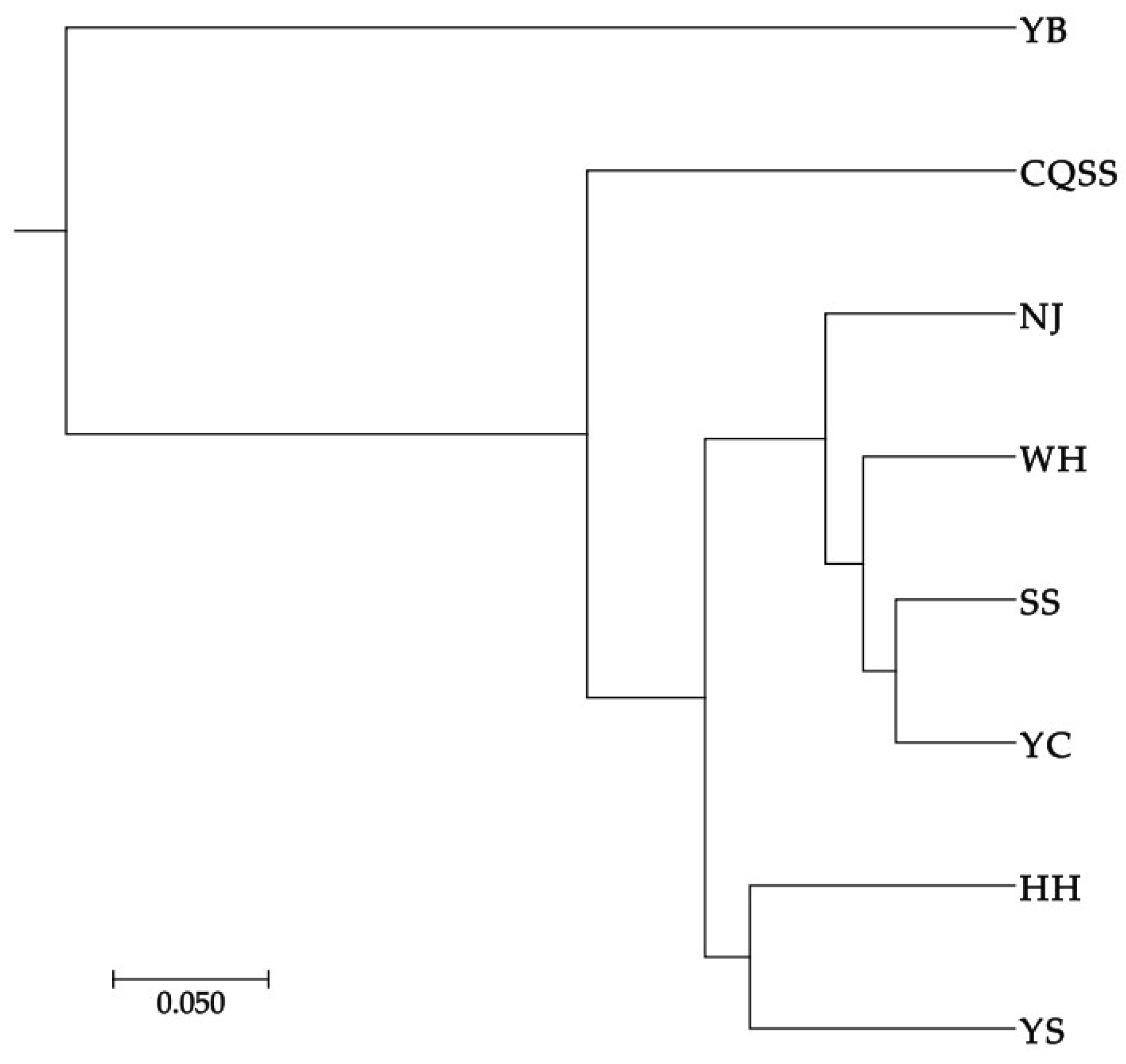 Animals 15 00770 g003