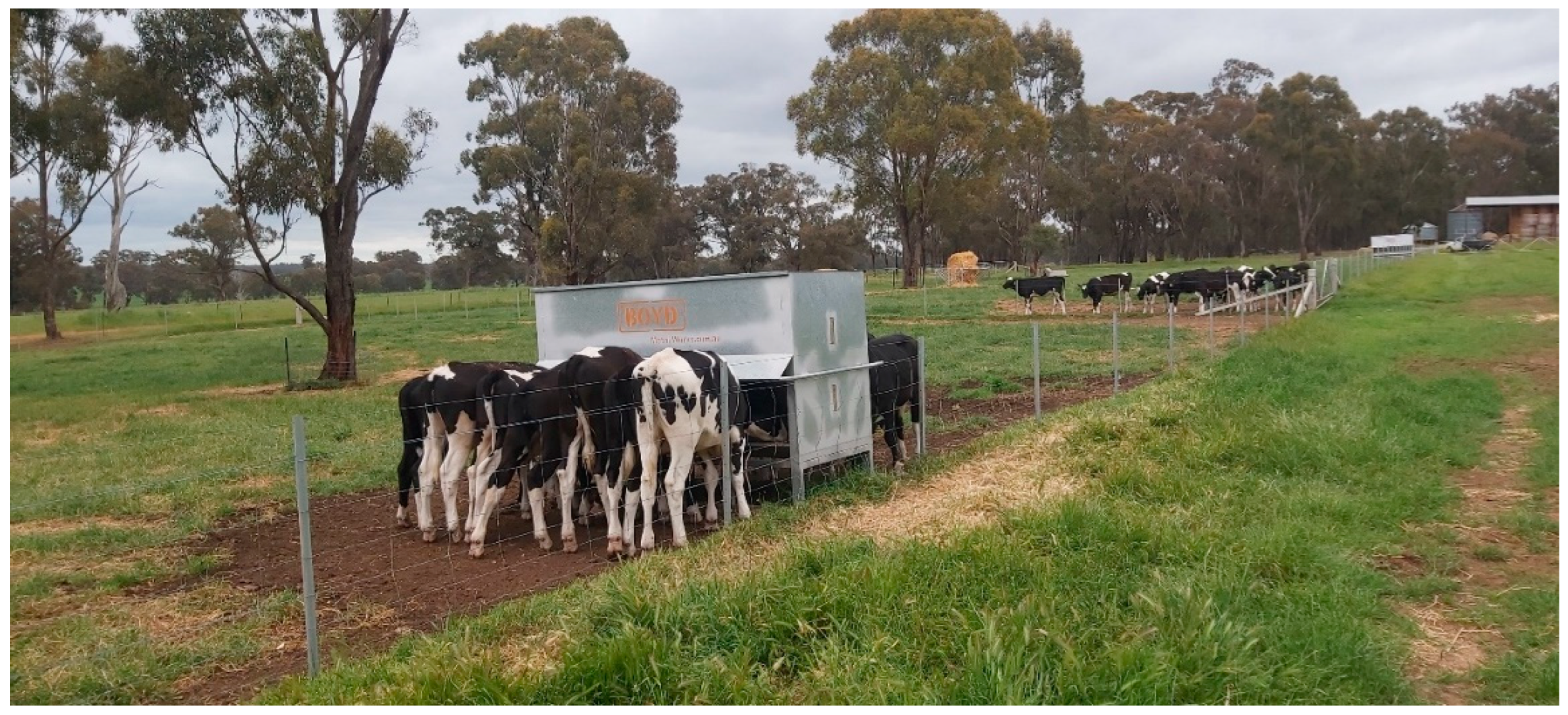 Animals 15 00781 g001