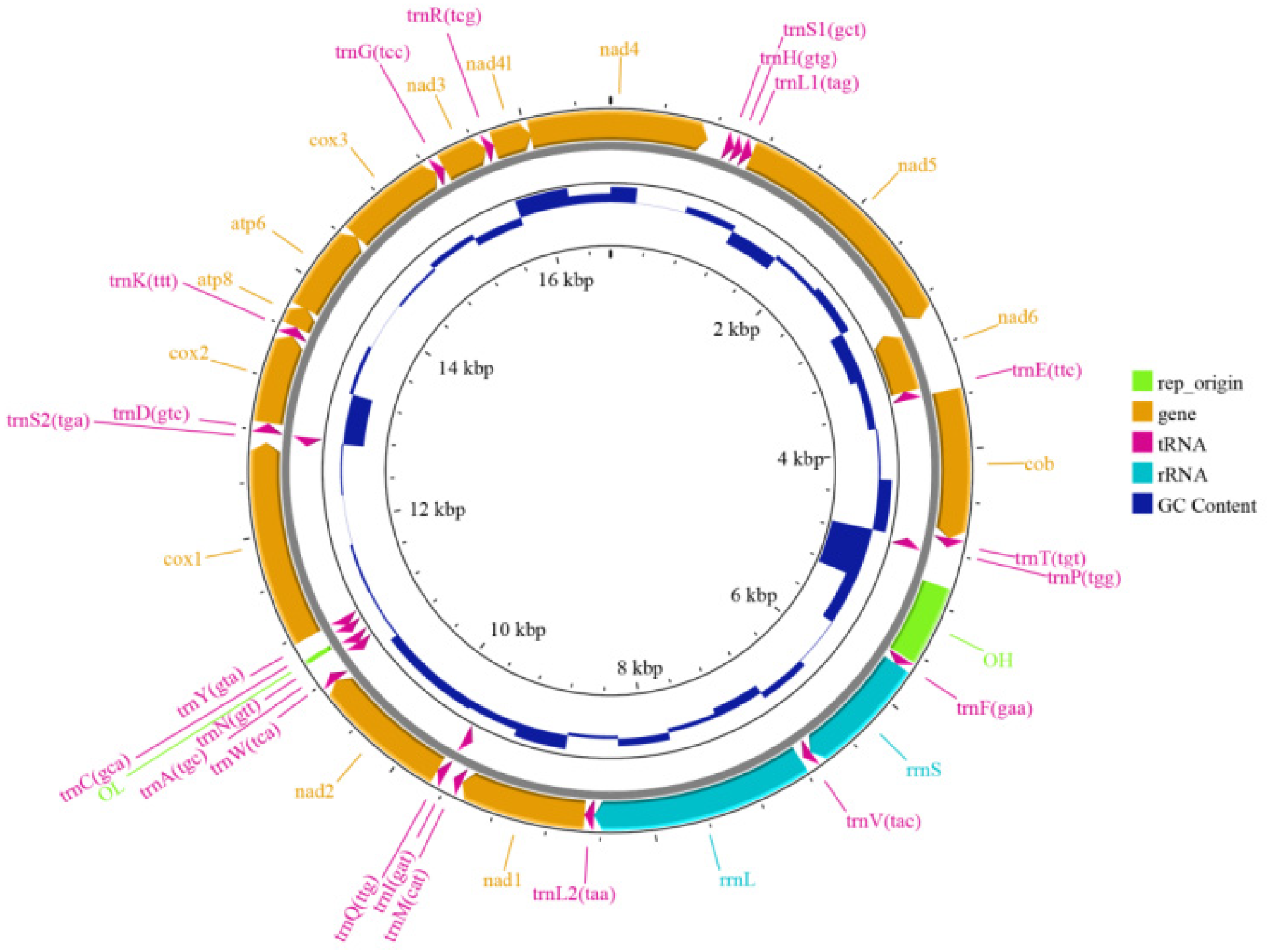 Animals 15 00782 g002