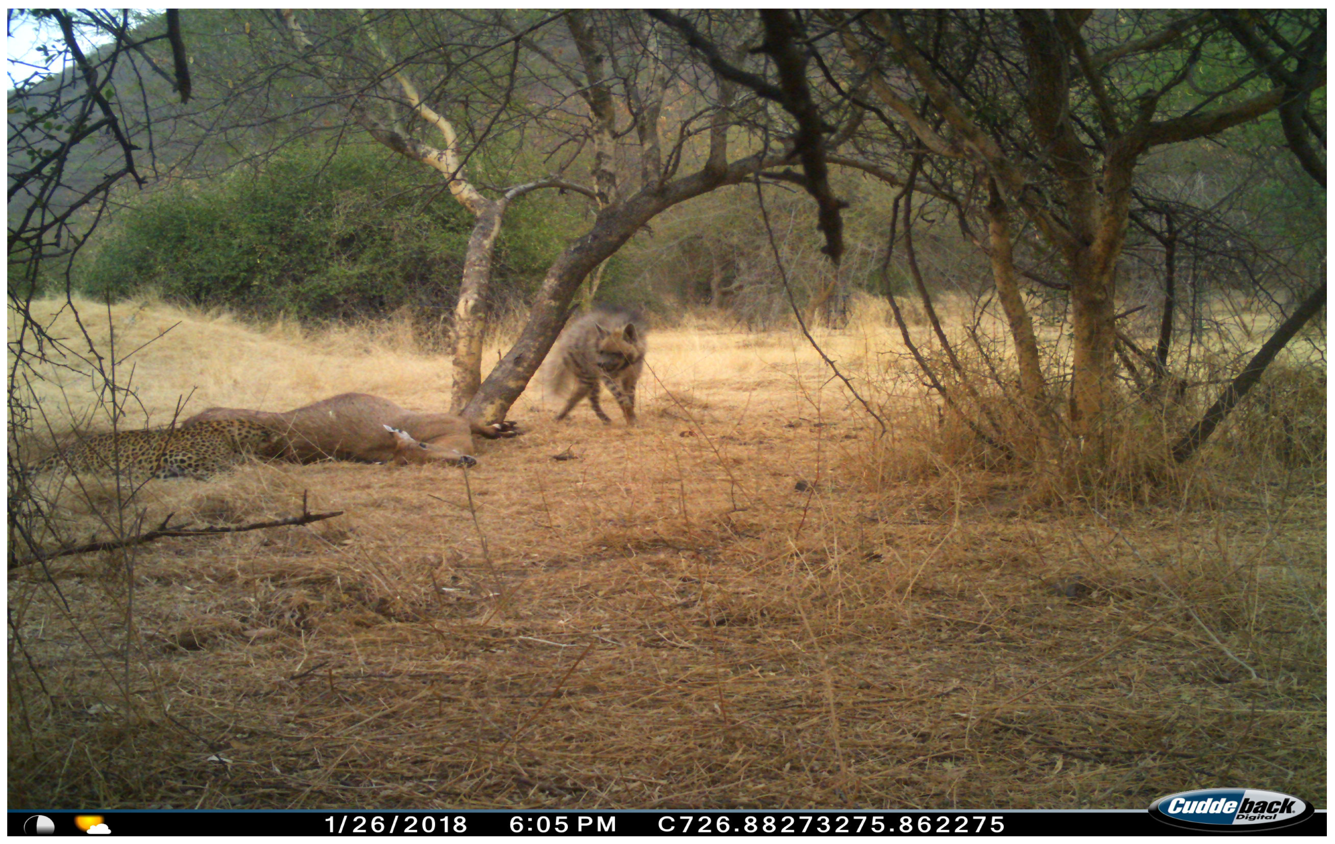 Animals 15 00784 g008