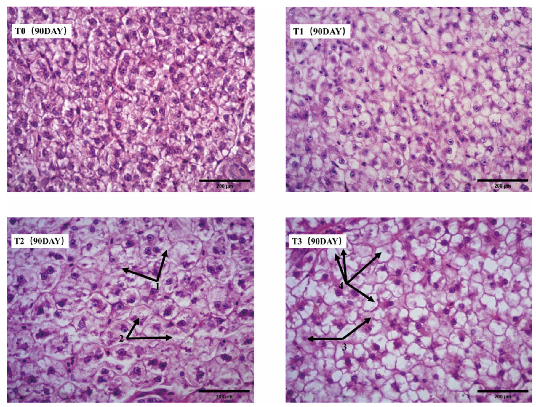 Animals 15 00792 g006