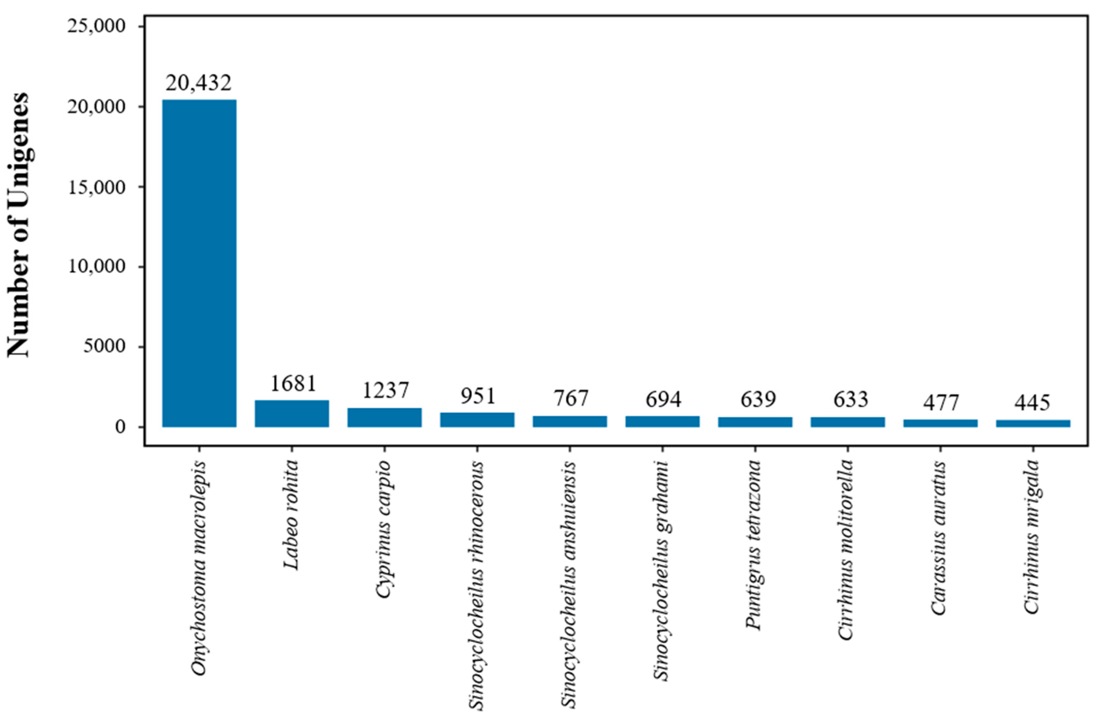 Animals 15 00806 g002 Animals 15 00806 g002