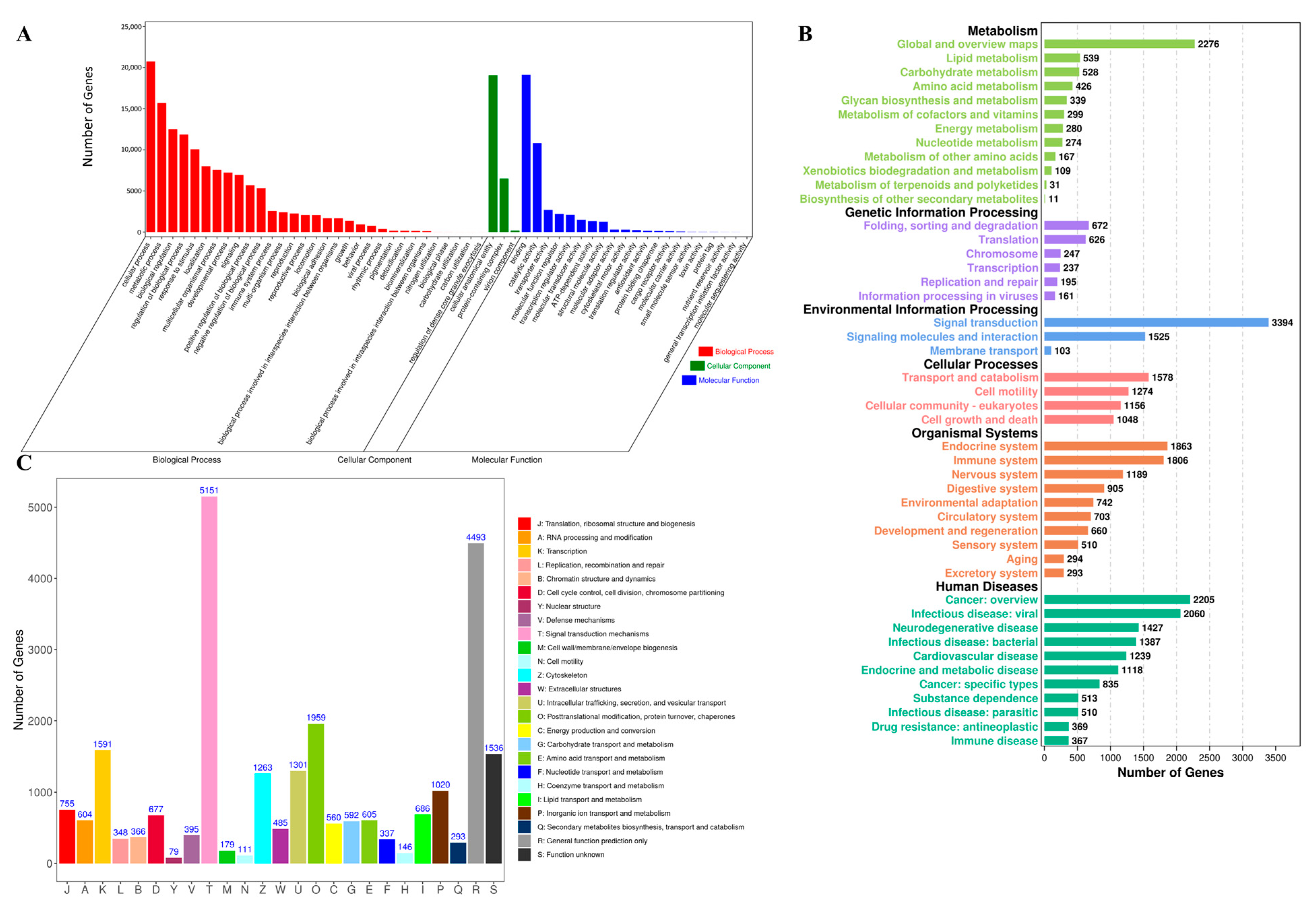 Animals 15 00806 g003 Animals 15 00806 g003