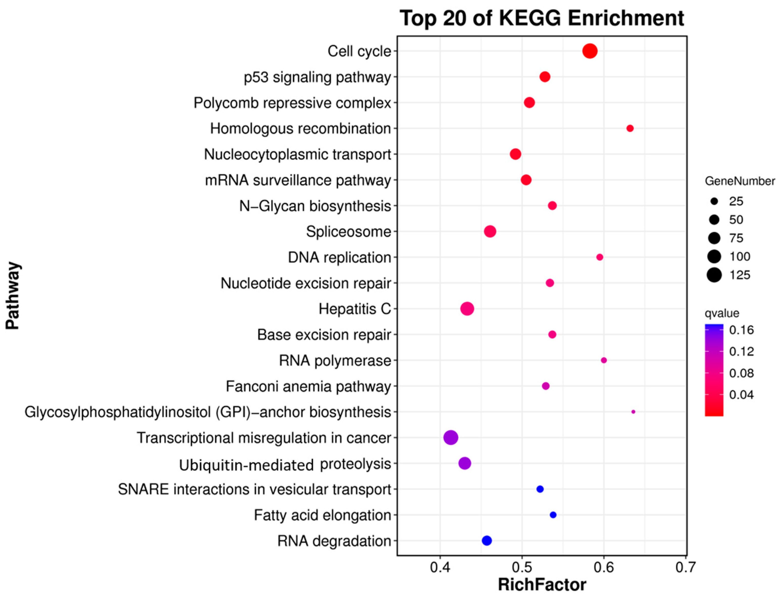 Animals 15 00806 g005 Animals 15 00806 g005
