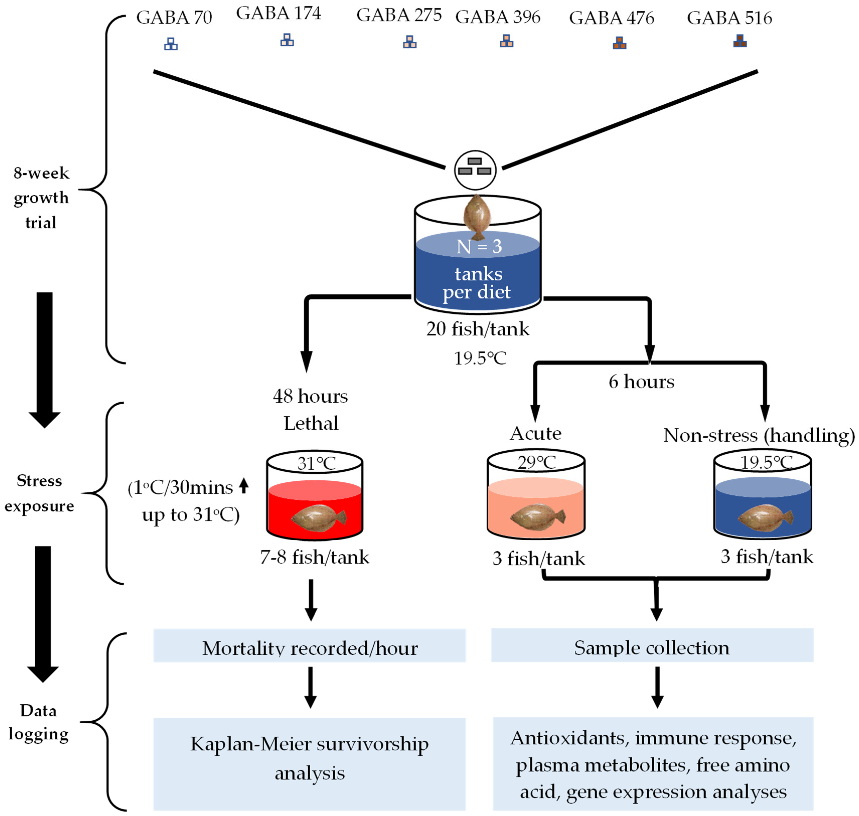Animals 15 00809 g002 Animals 15 00809 g002