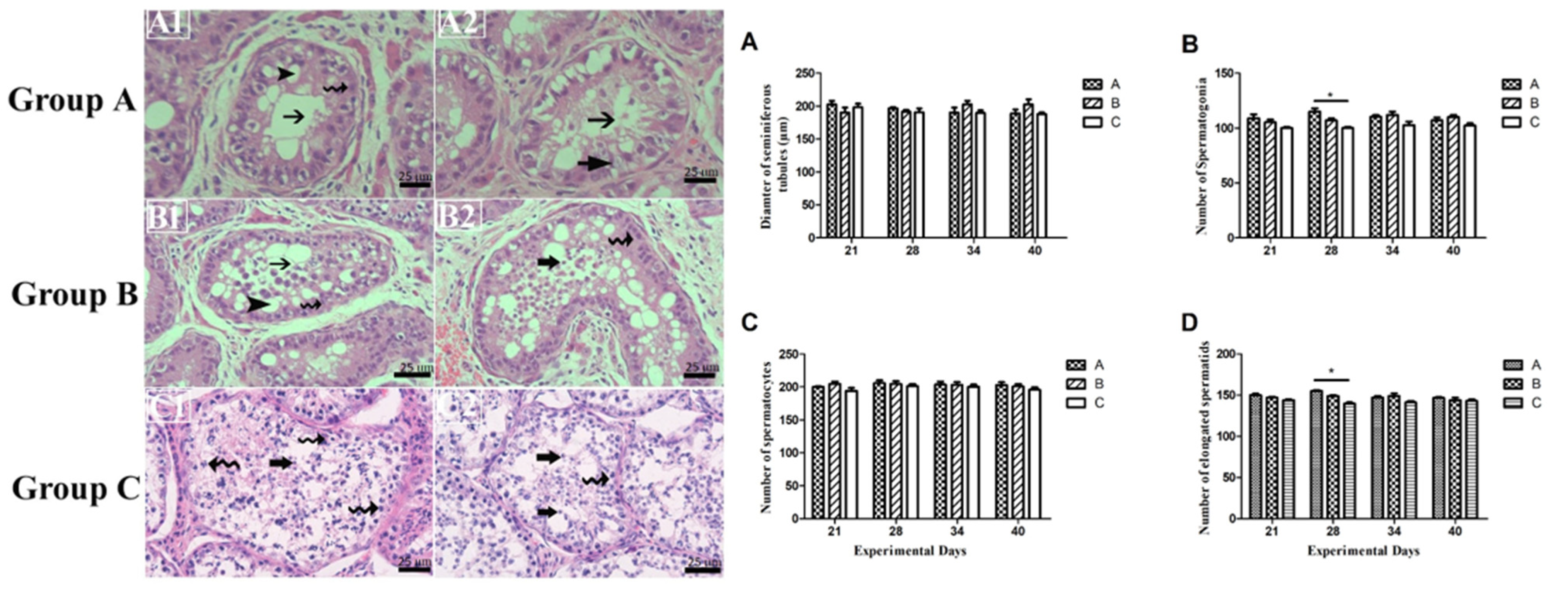 Animals 15 00813 g004