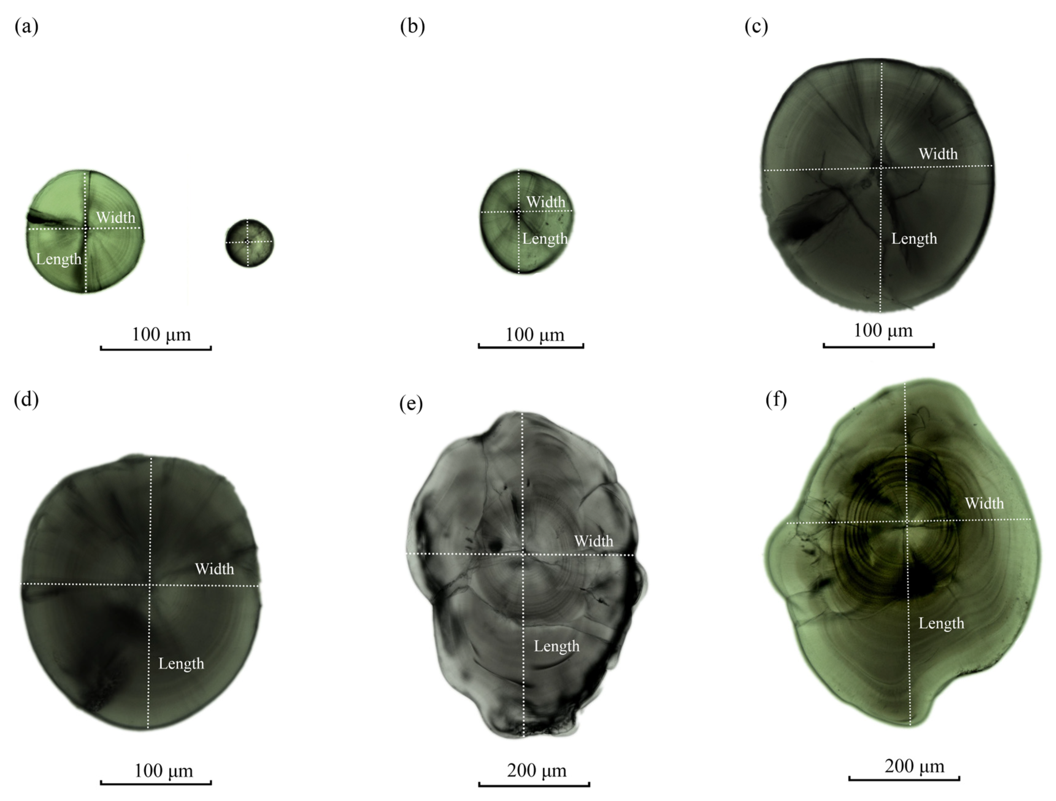 Animals 15 00814 g004