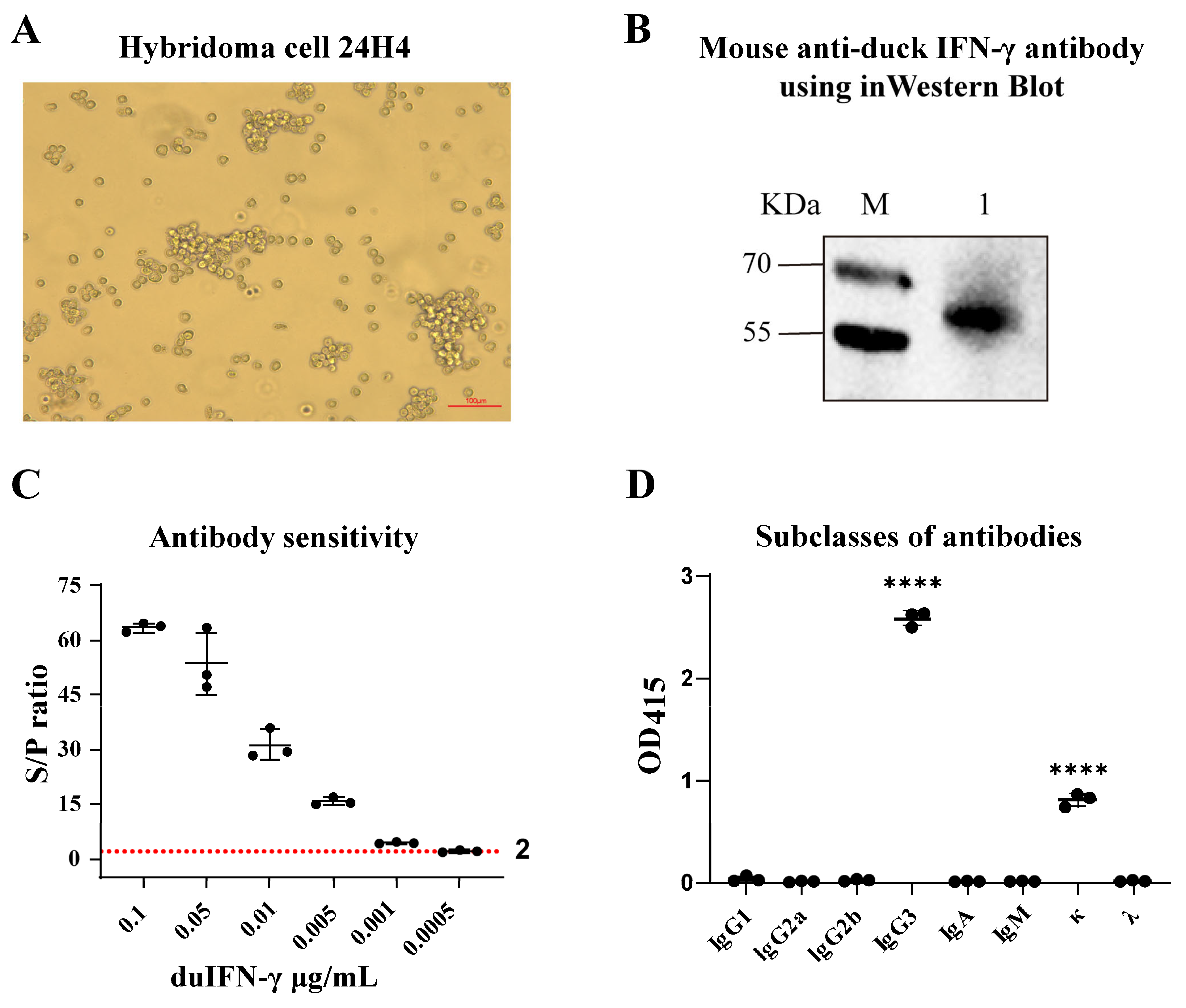 Animals 15 00815 g002