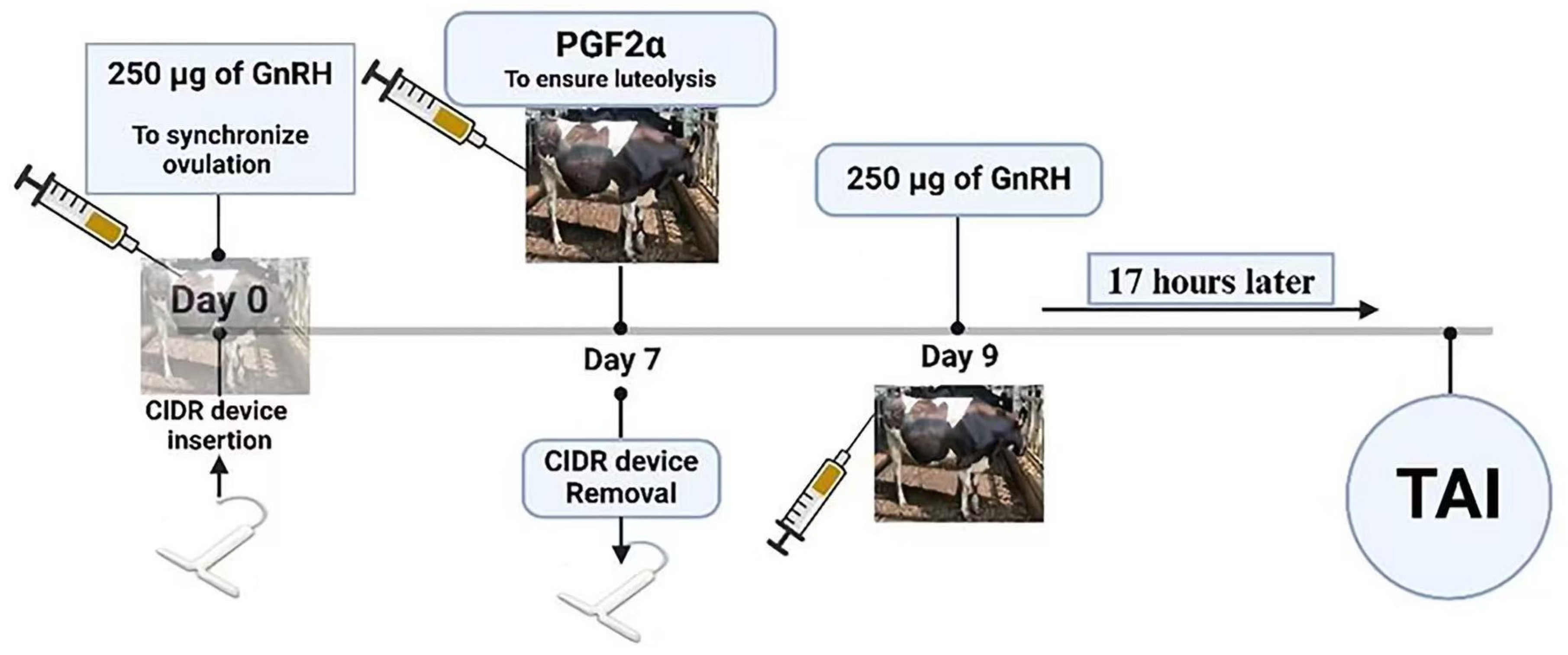 Animals 15 00816 g001 Animals 15 00816 g001