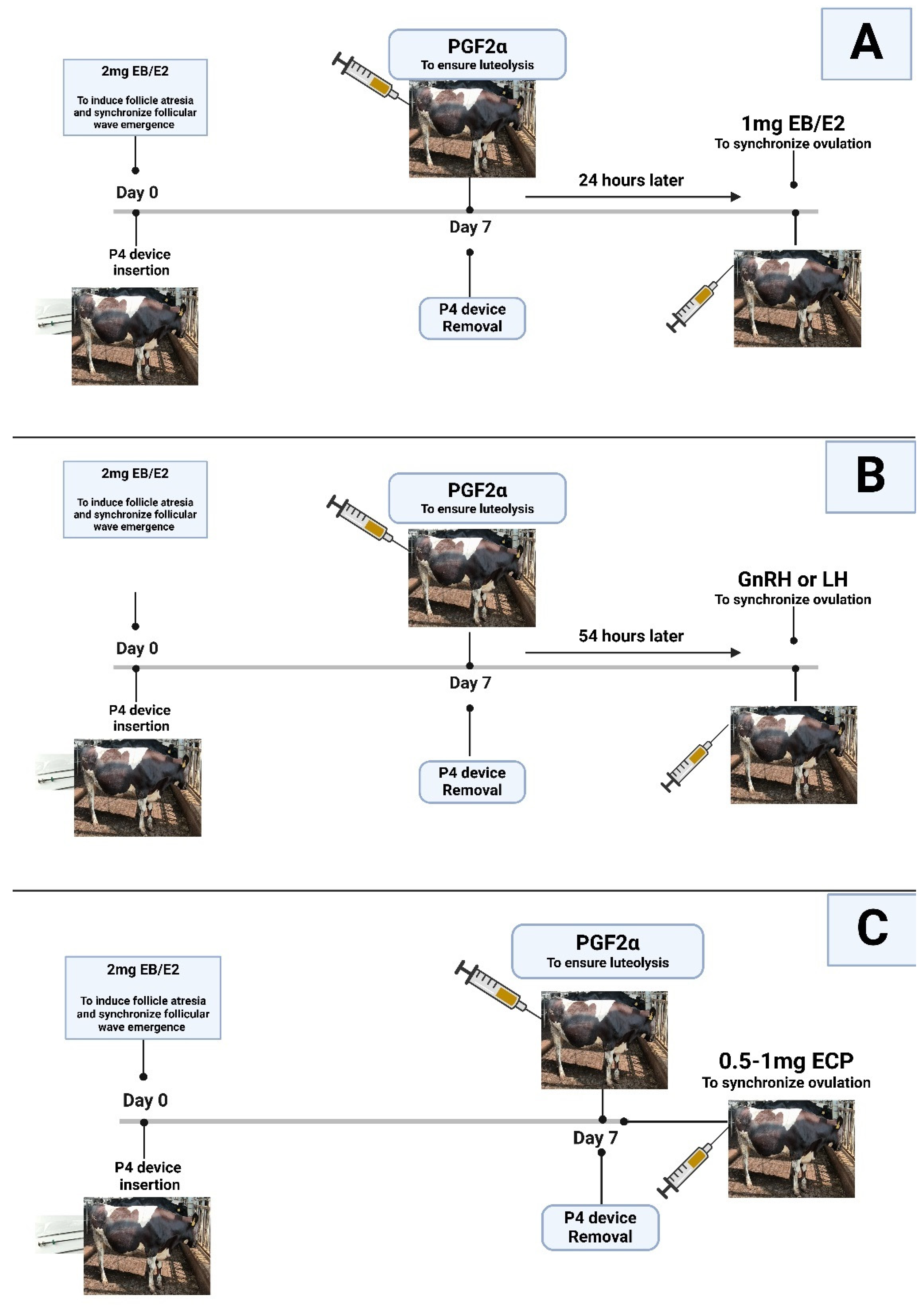 Animals 15 00816 g002 Animals 15 00816 g002