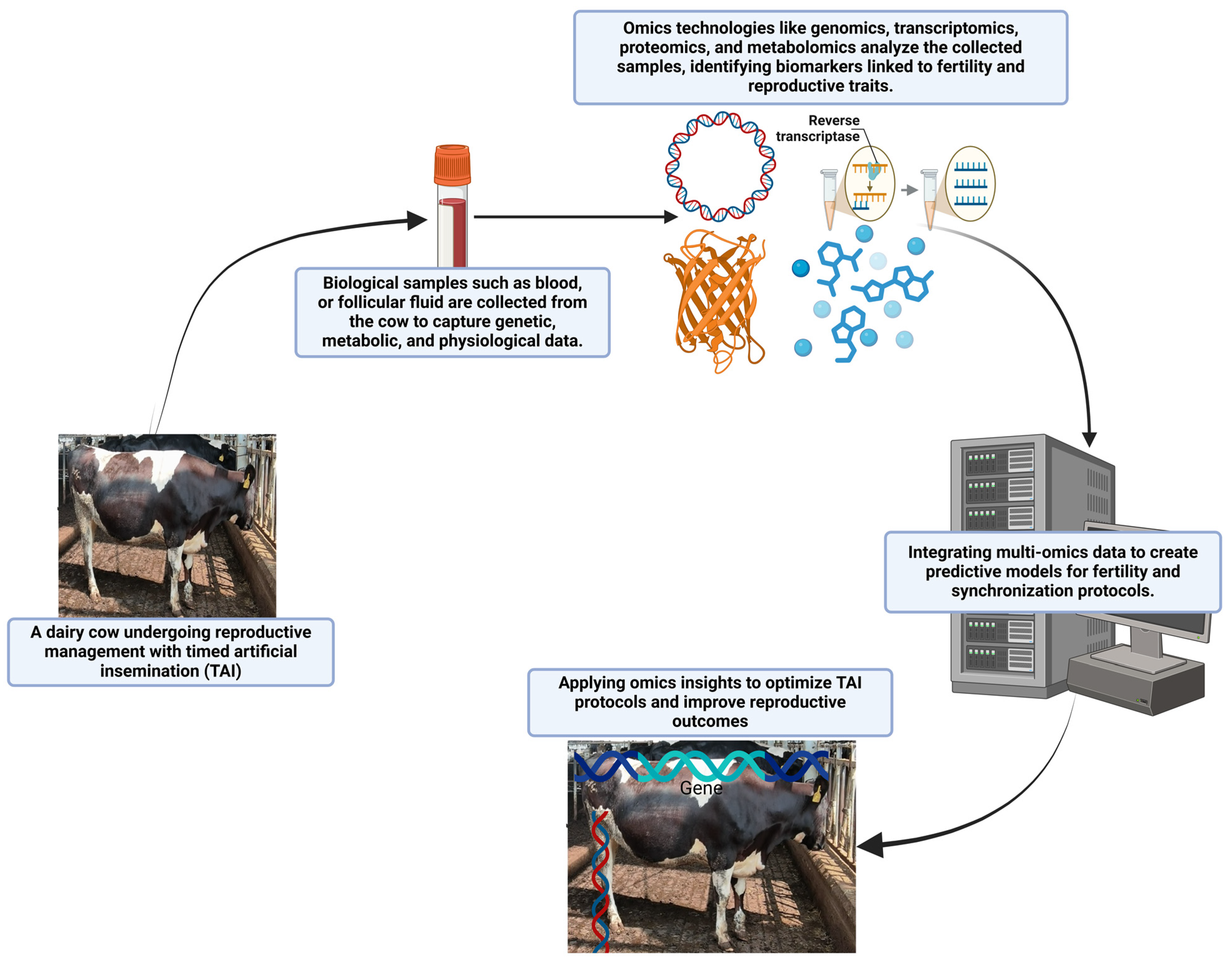 Animals 15 00816 g003 Animals 15 00816 g003