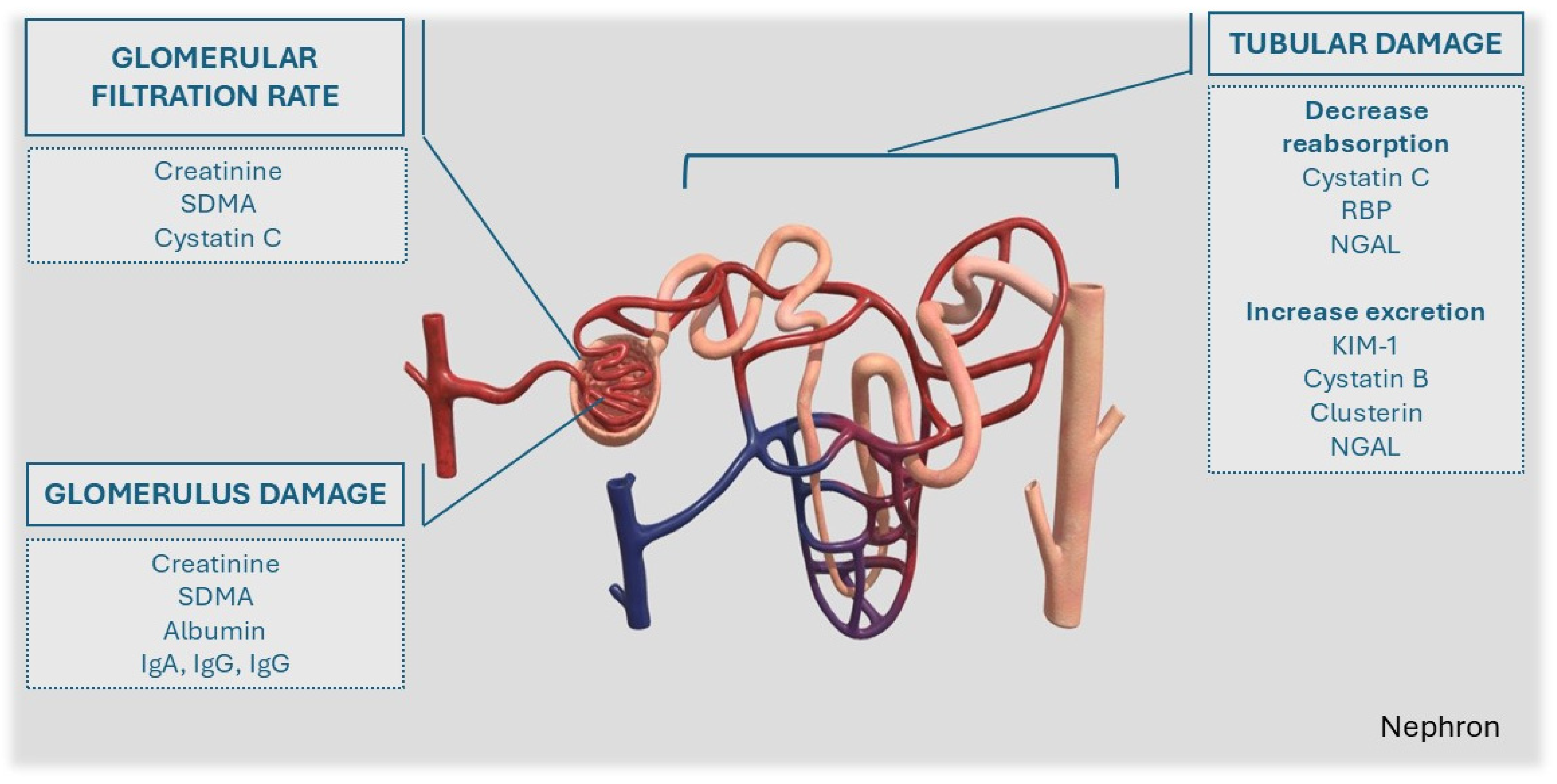 Animals 15 00818 g001 Animals 15 00818 g001