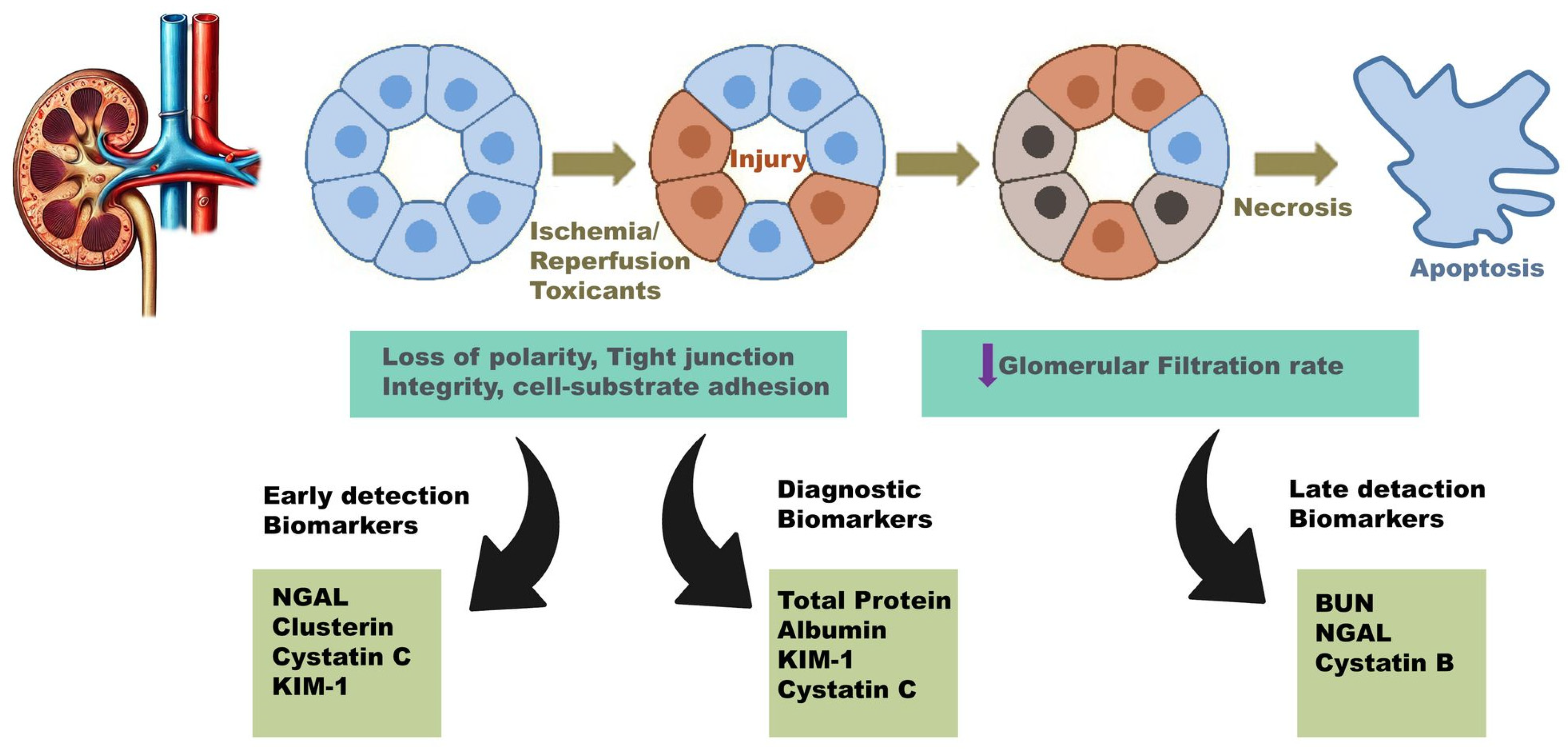 Animals 15 00818 g002 Animals 15 00818 g002
