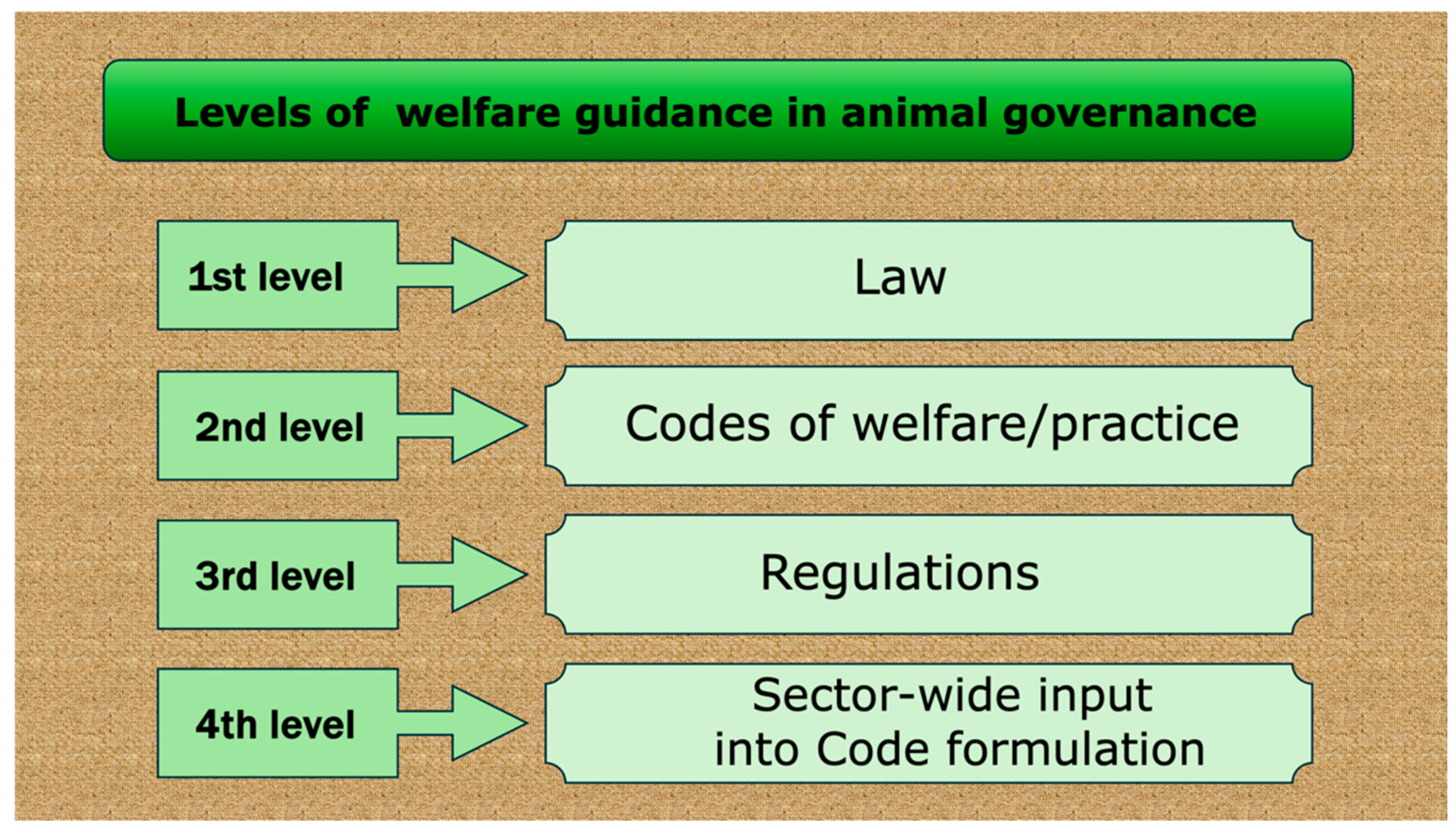 Animals 15 00821 g001