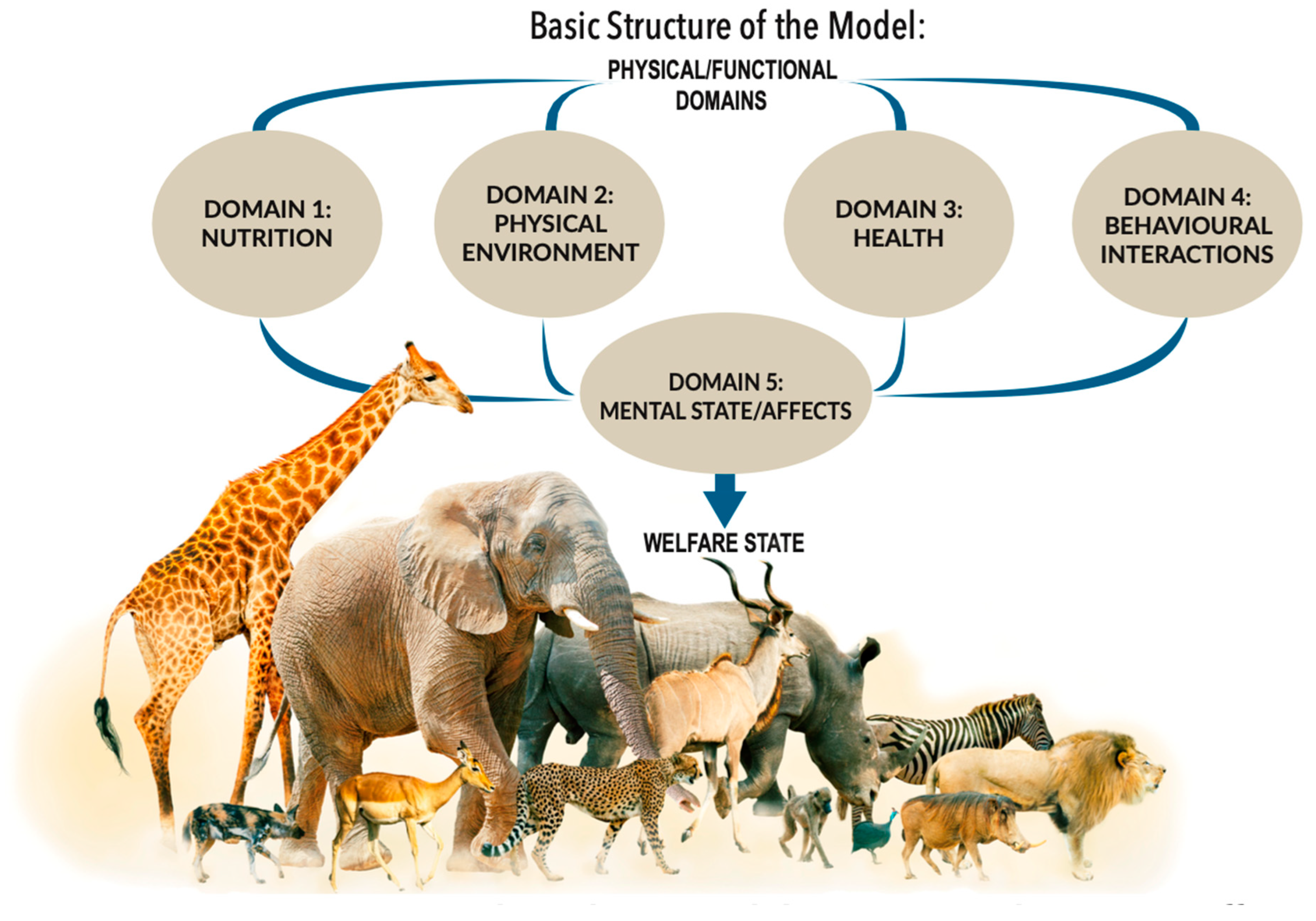 Animals 15 00821 g003