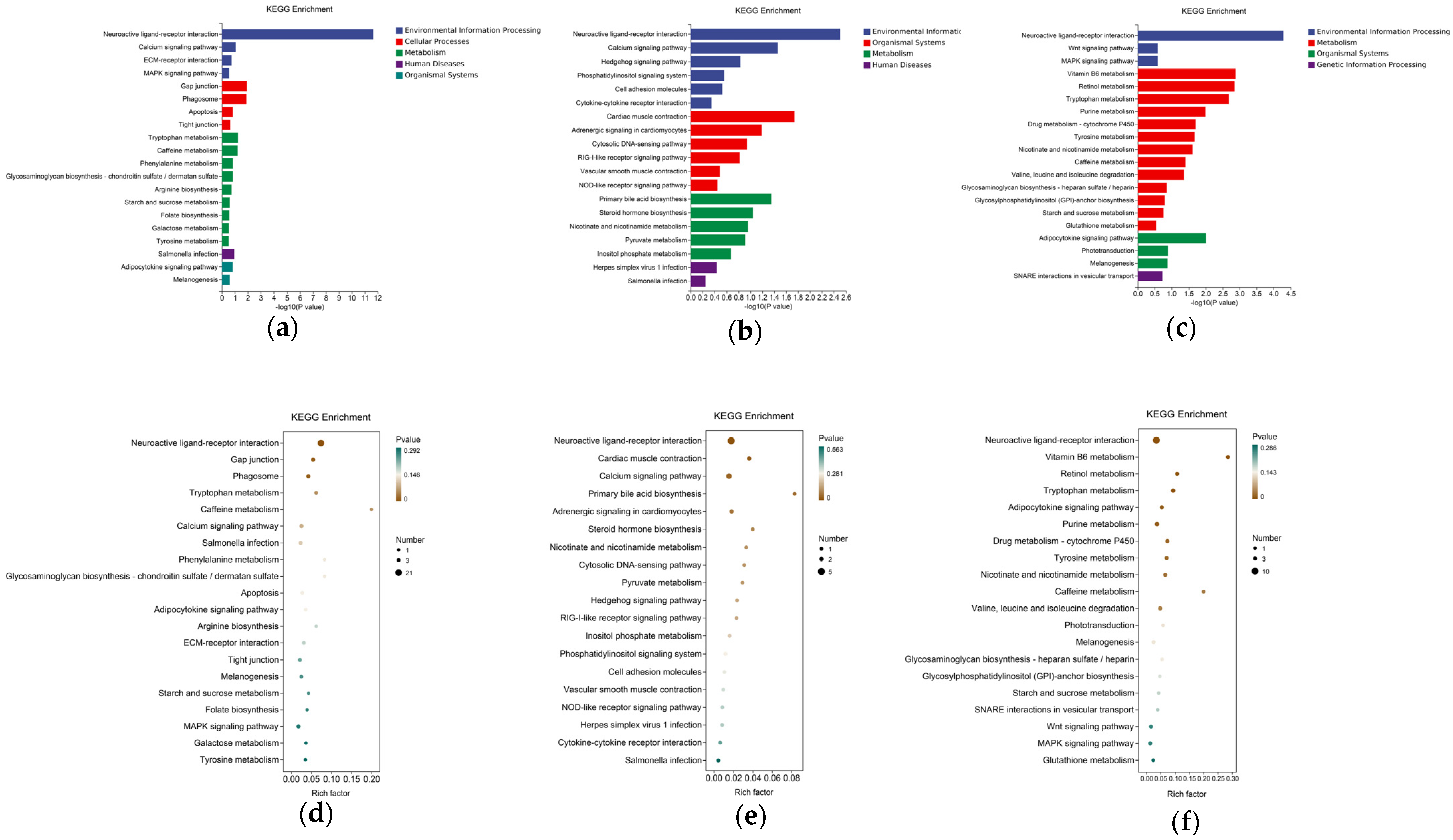 Animals 15 00823 g003