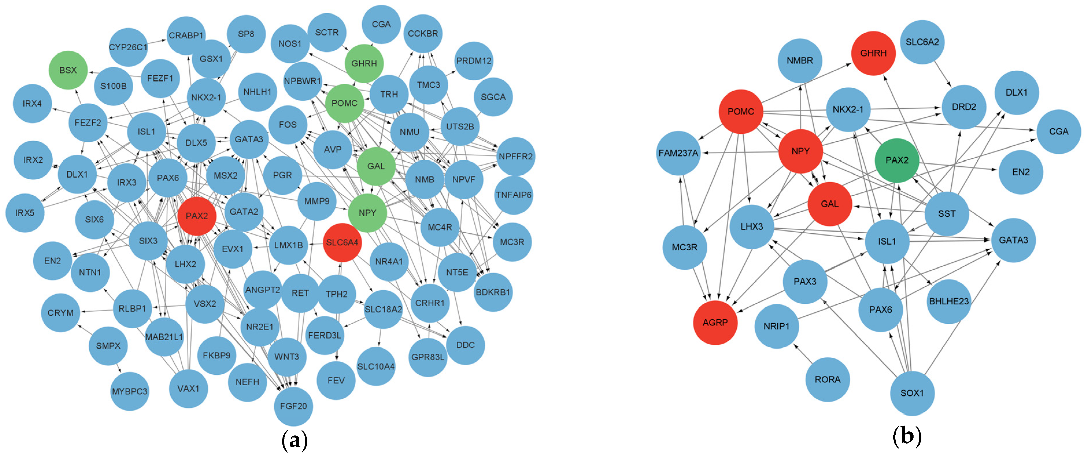 Animals 15 00823 g005