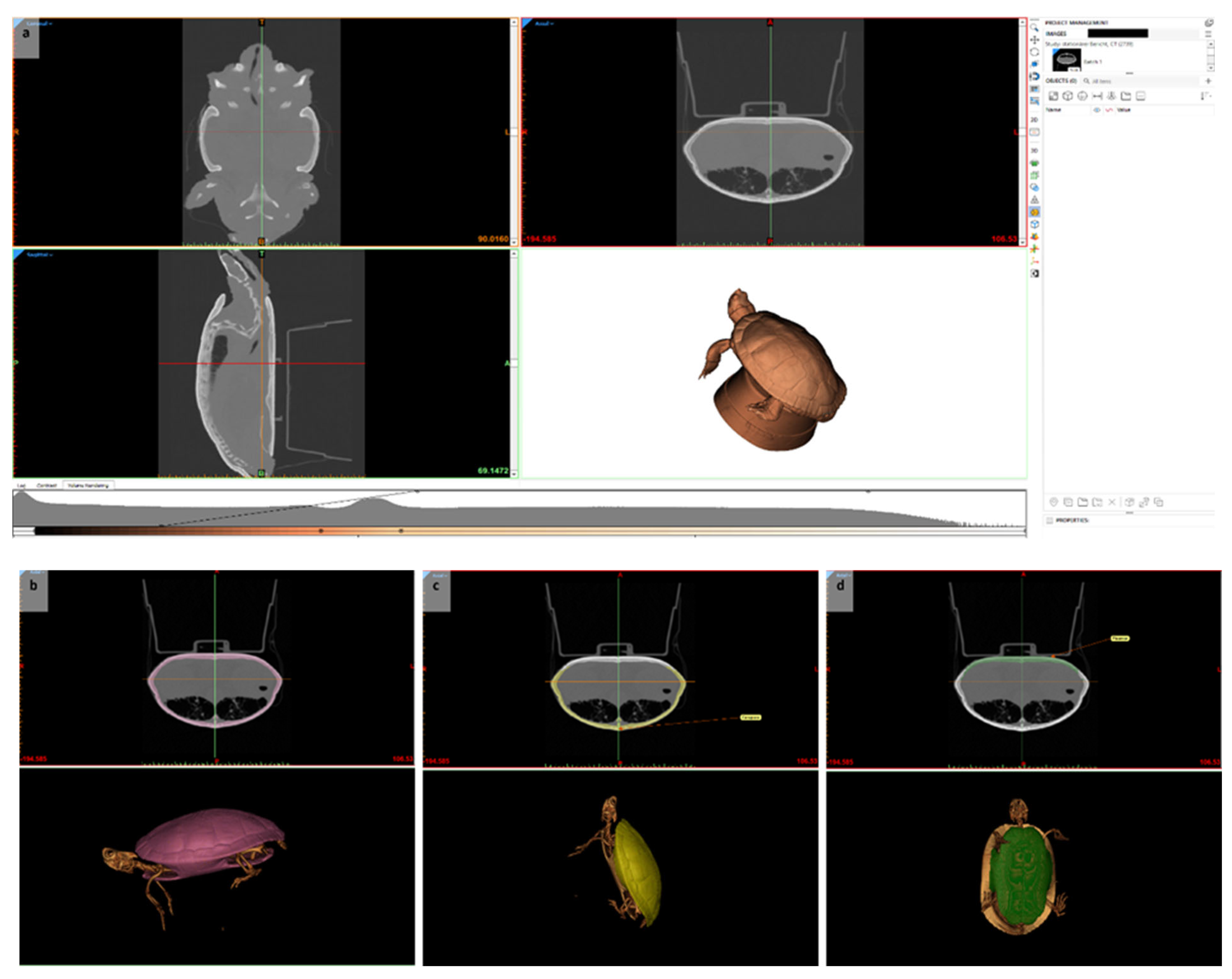 Animals 15 00824 g002