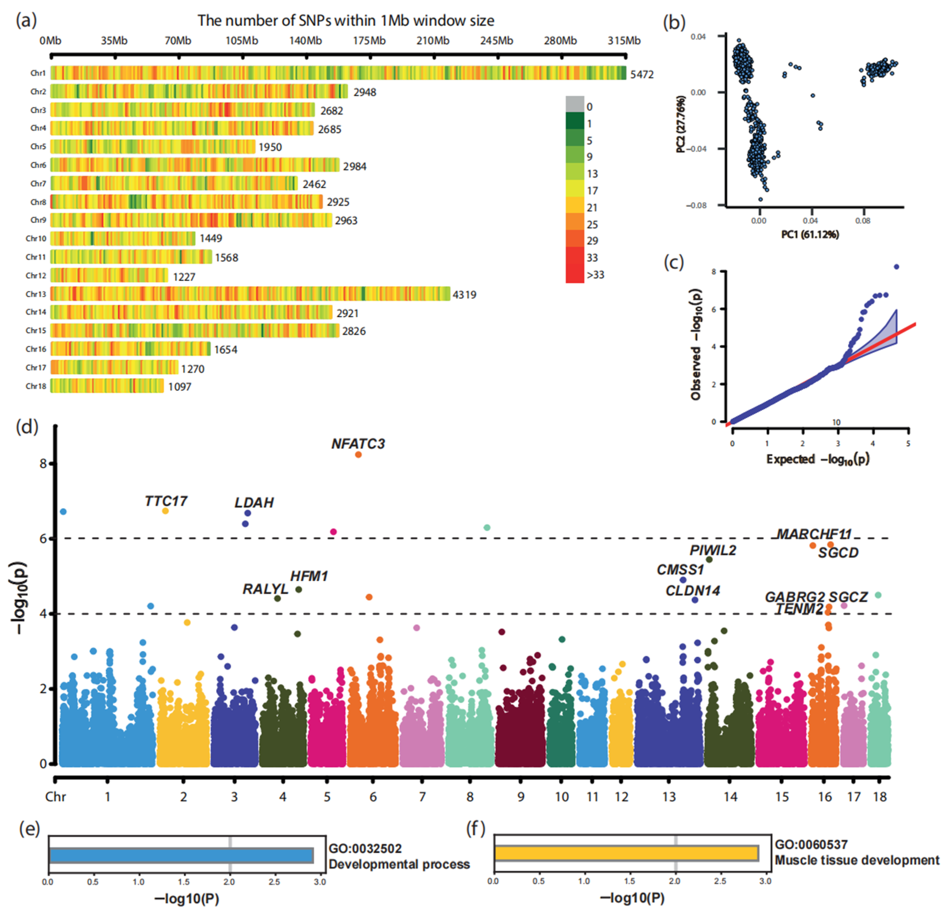 Animals 15 00825 g002