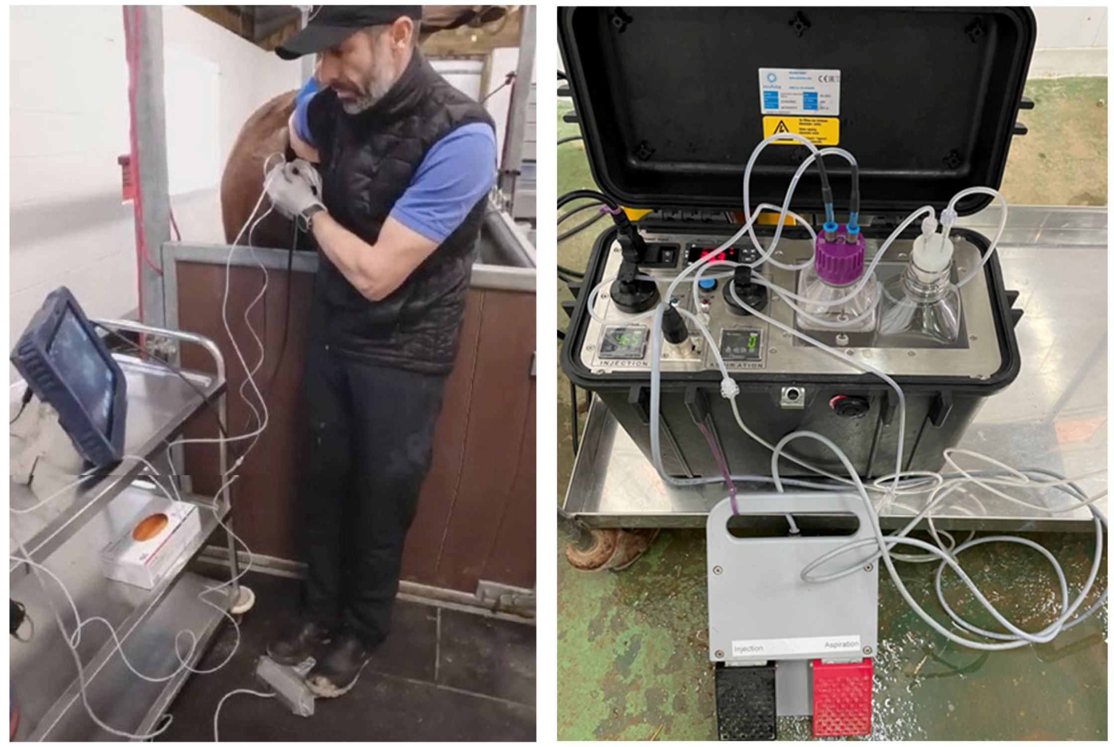 Animals 15 00832 g001