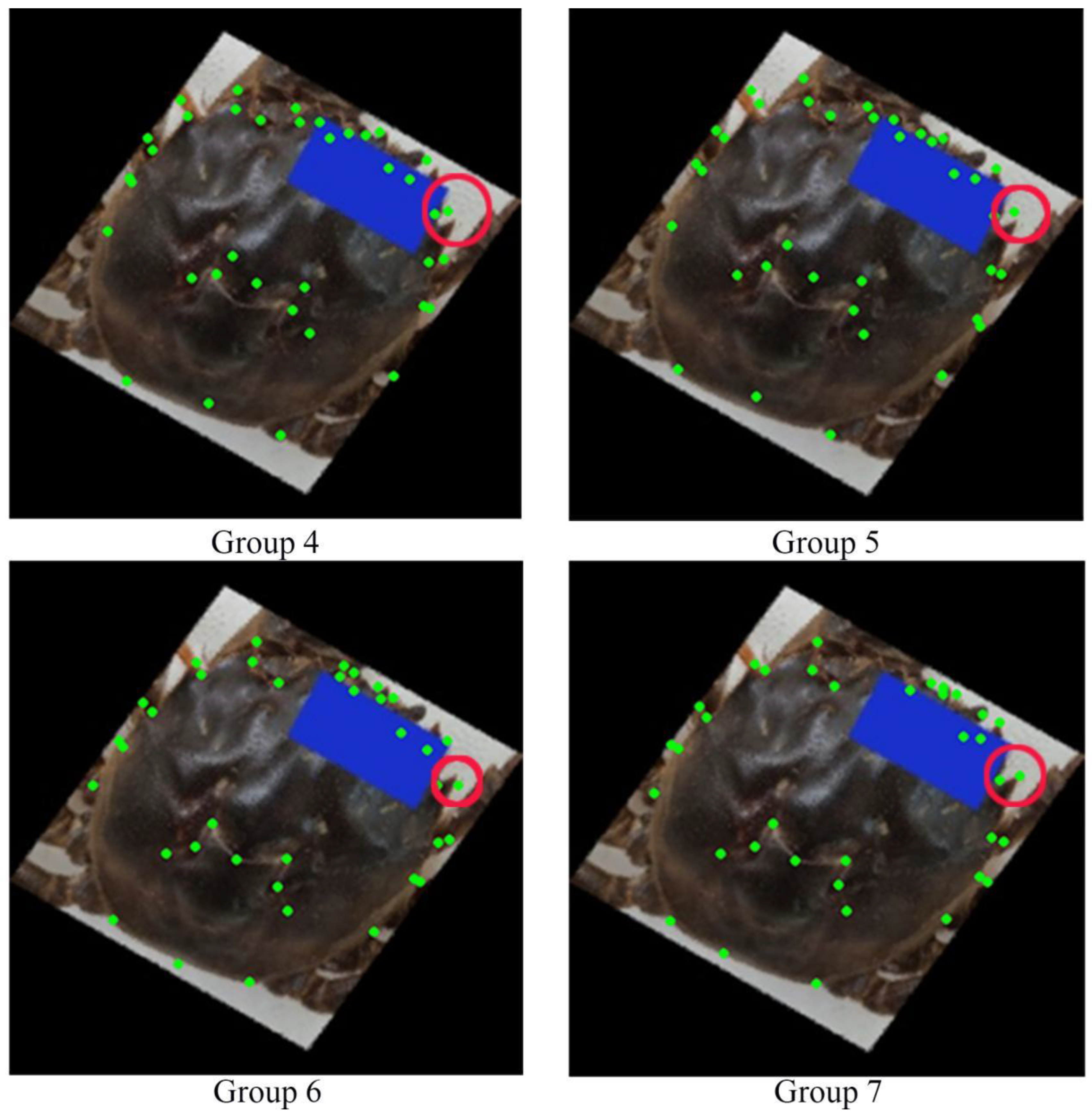 Animals 15 00836 g009