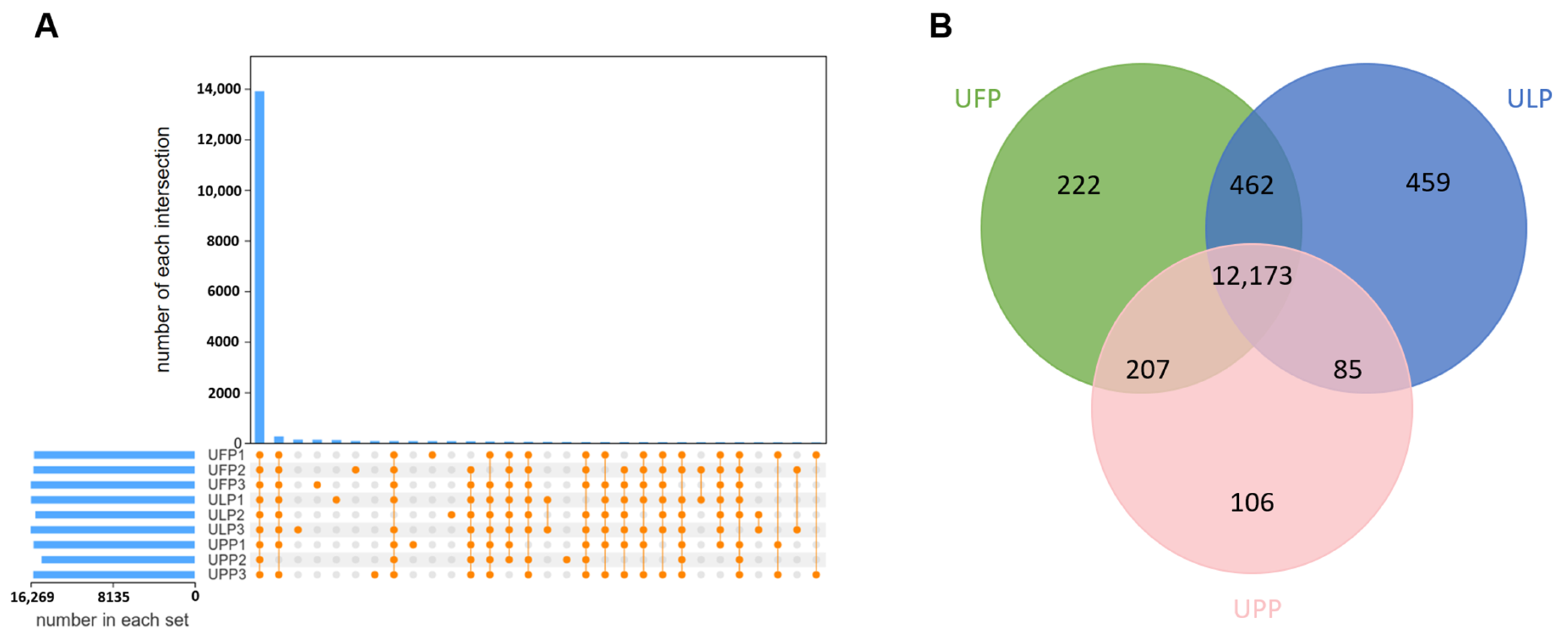  Imide Polymers with Bipolar-Type Redox-Active Centers for