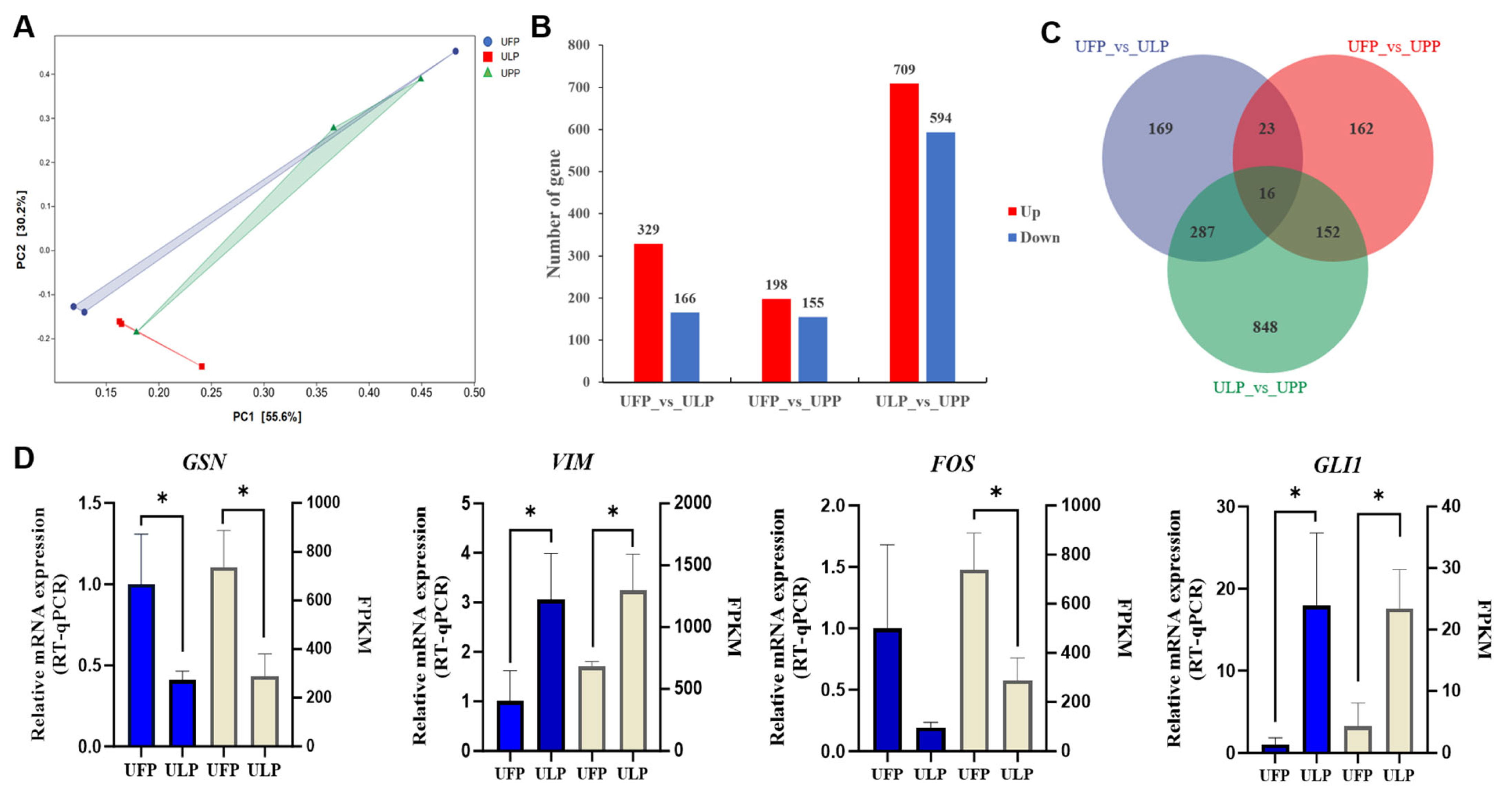 Animals 15 00837 g002