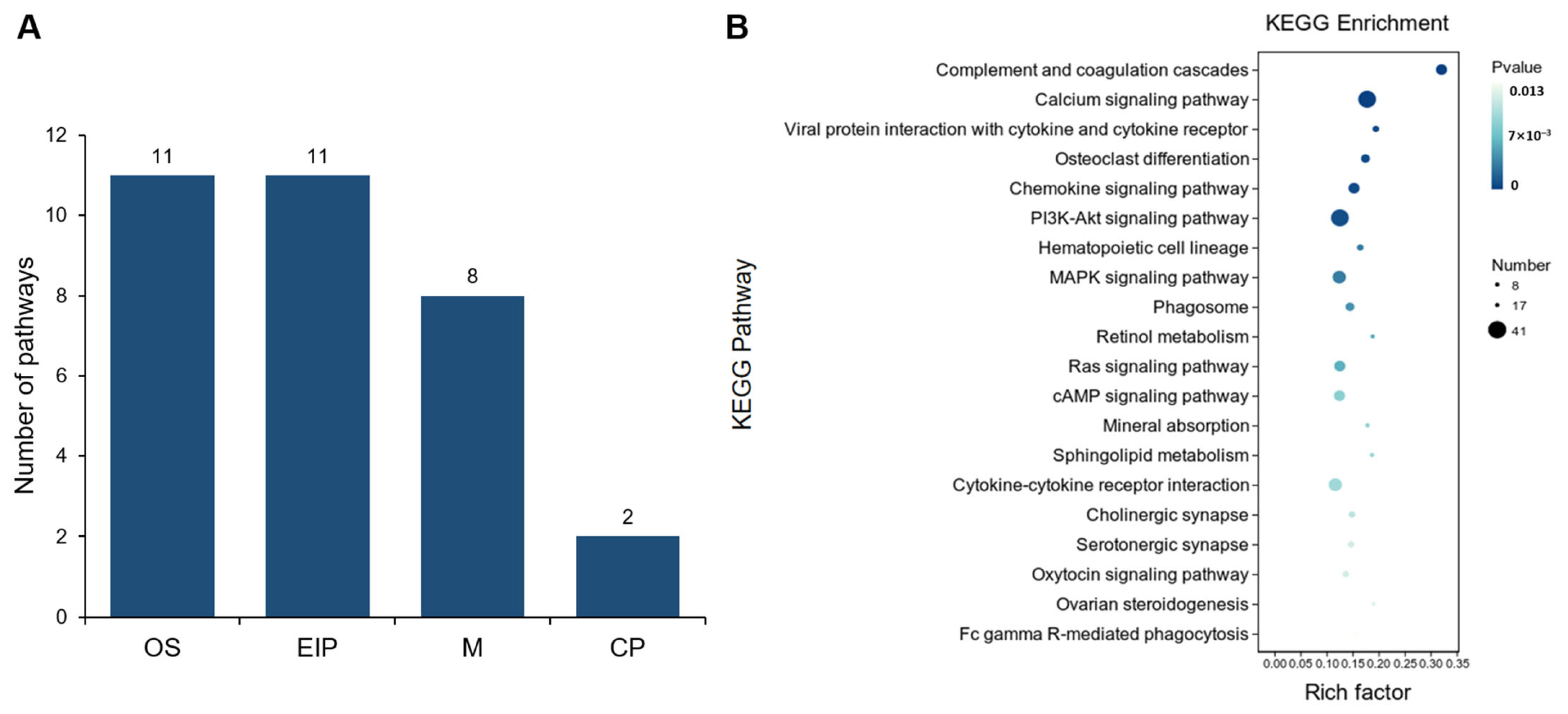 Animals 15 00837 g008