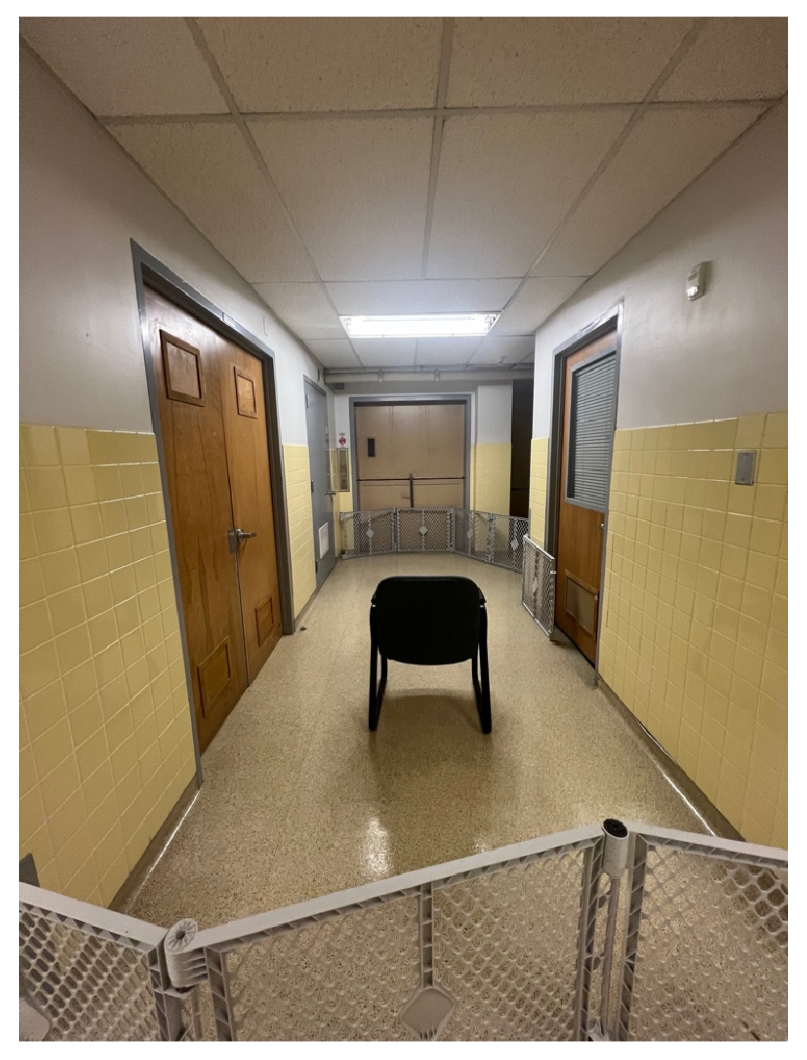 Animals 15 00840 g001