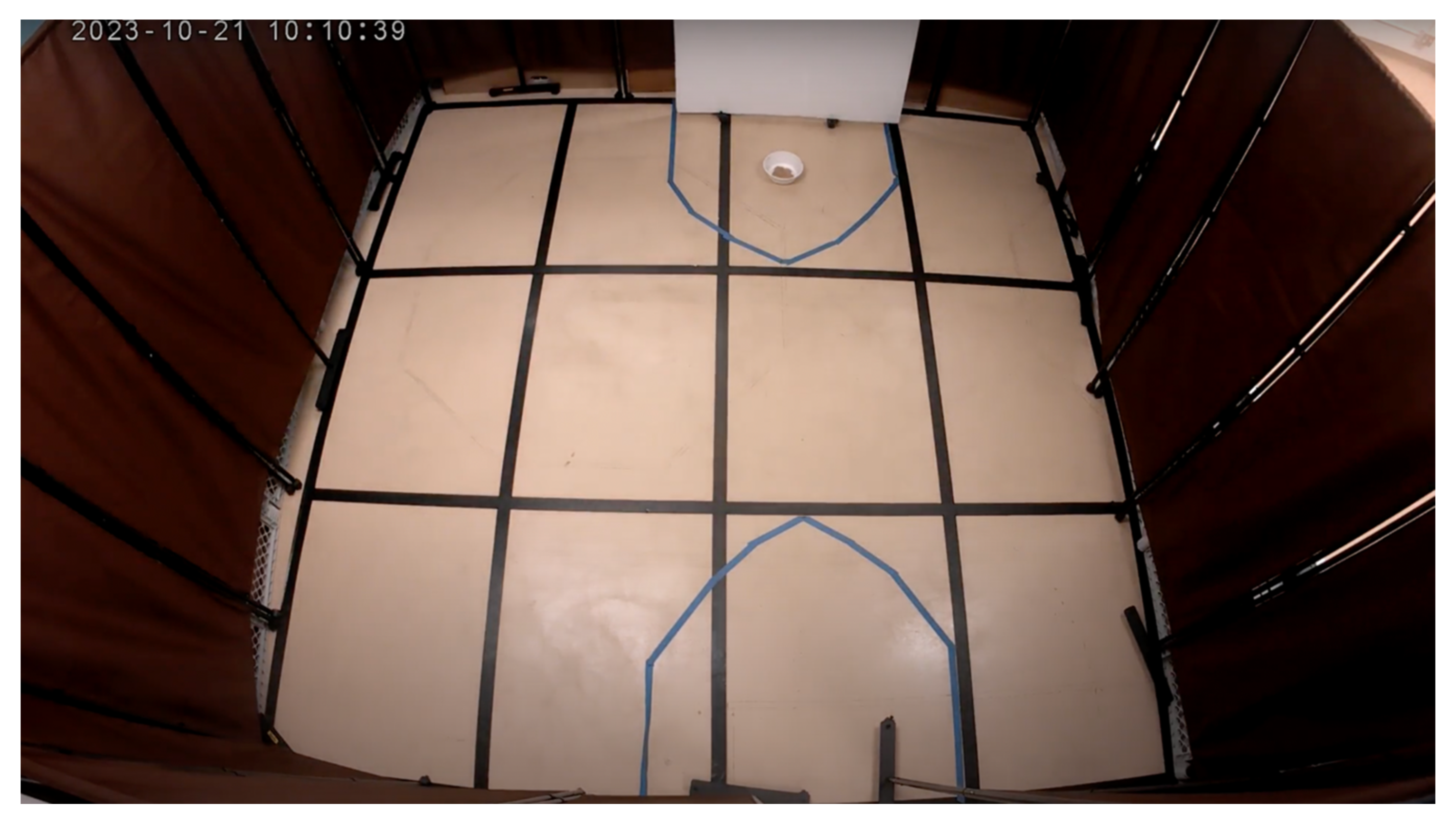 Animals 15 00840 g002