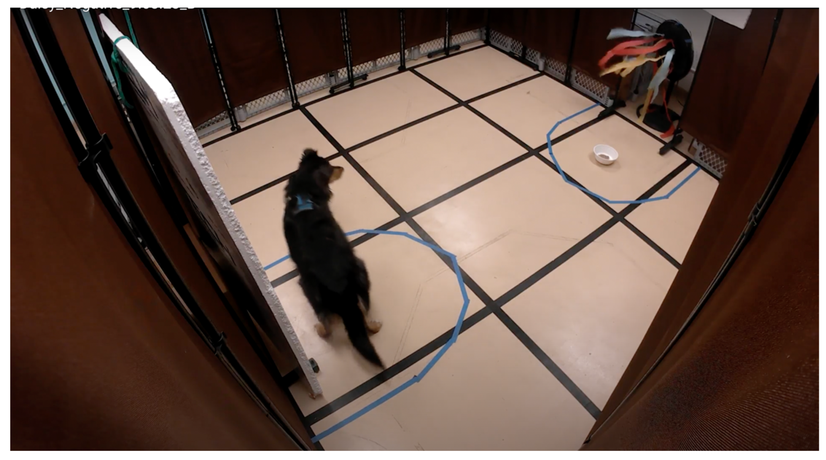 Animals 15 00840 g003