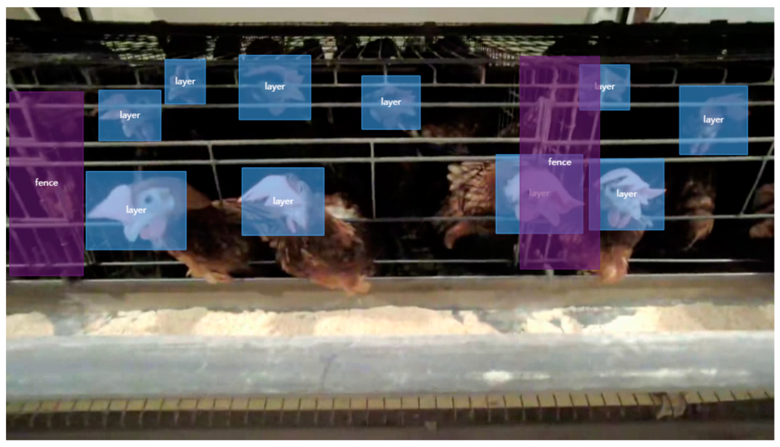 Animals 15 00853 g002