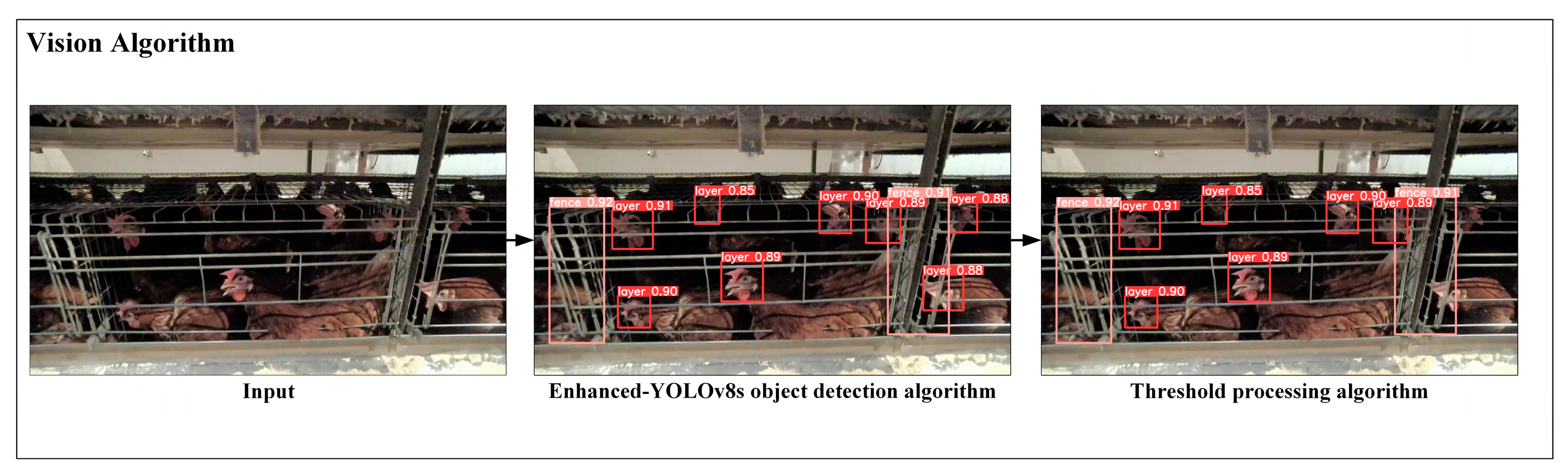 Animals 15 00853 g005